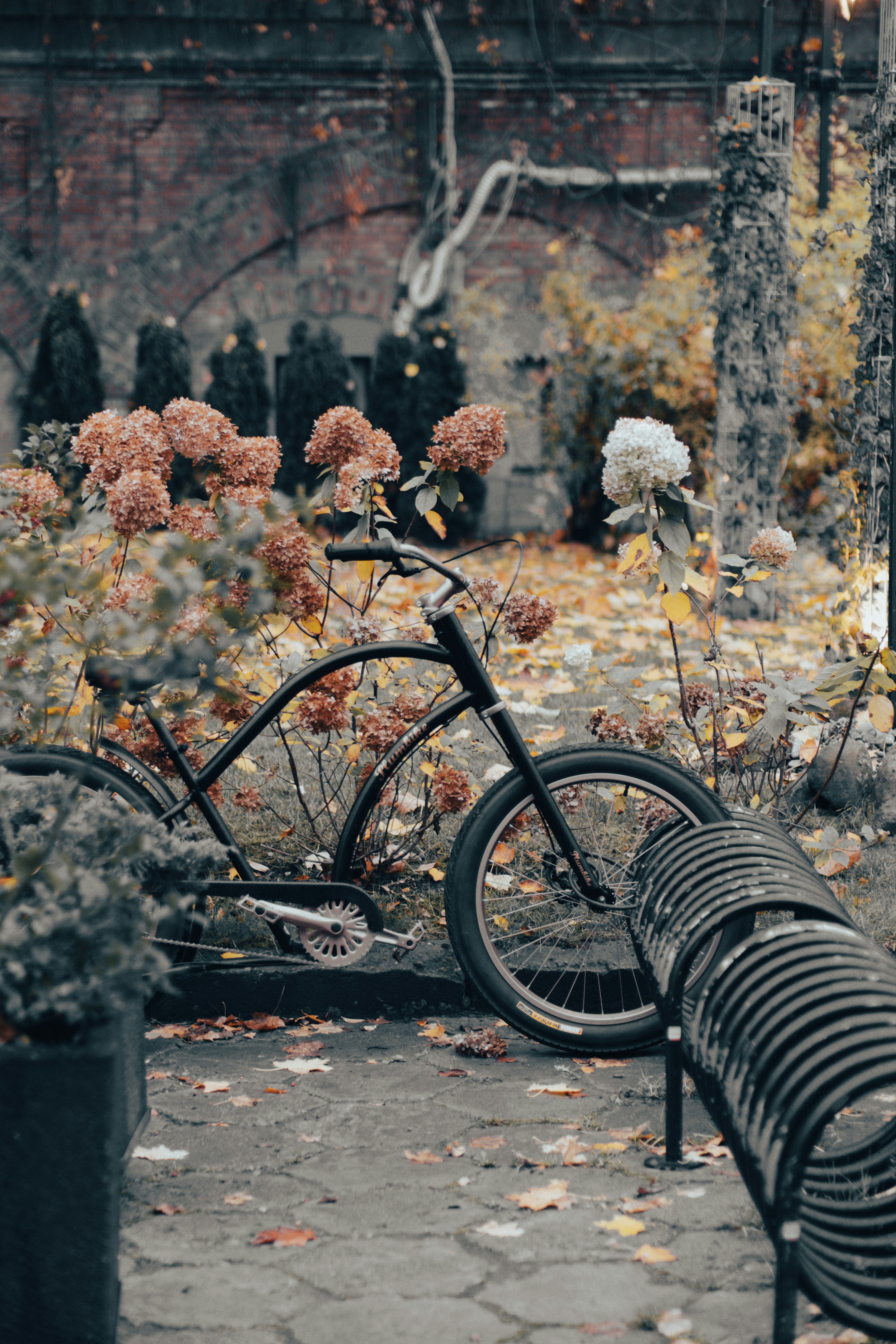 a bicycle is parked on a bench