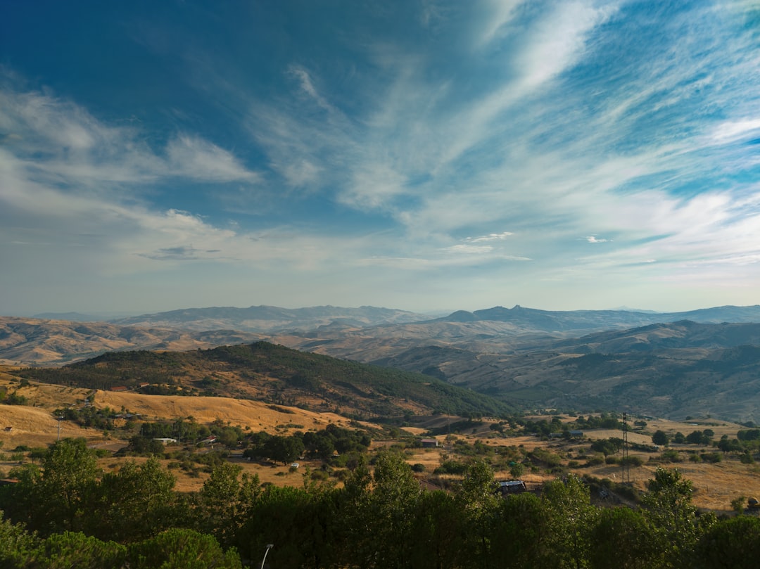 a landscape with trees and hills,