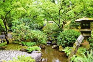 a pond with a stone path and trees around it