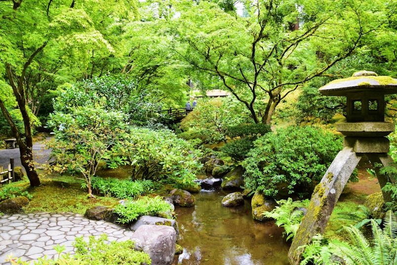 a pond with a stone path and trees around it