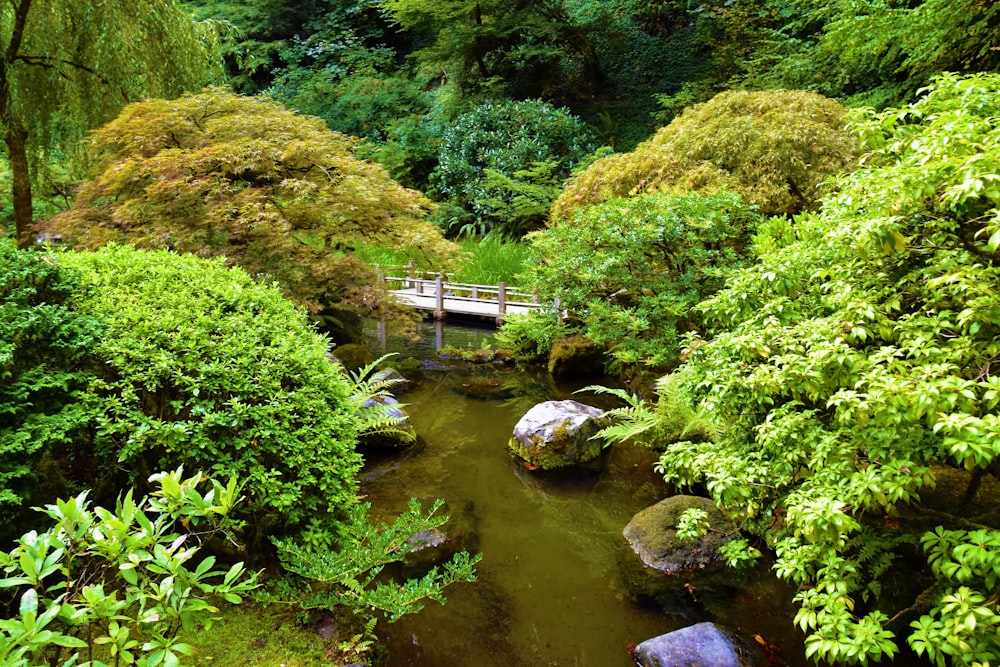 a bridge over a river