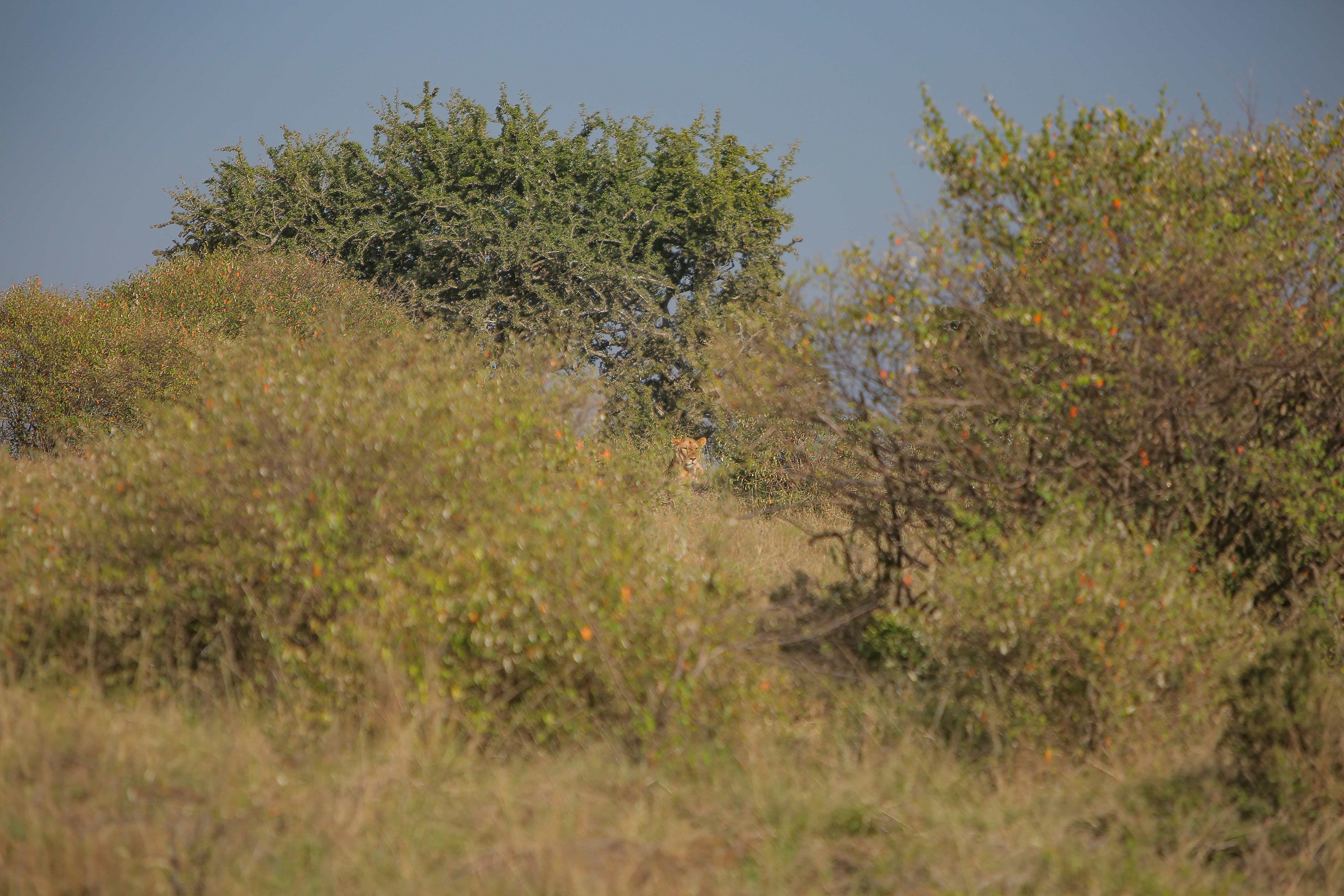 Photo by twilightkenya