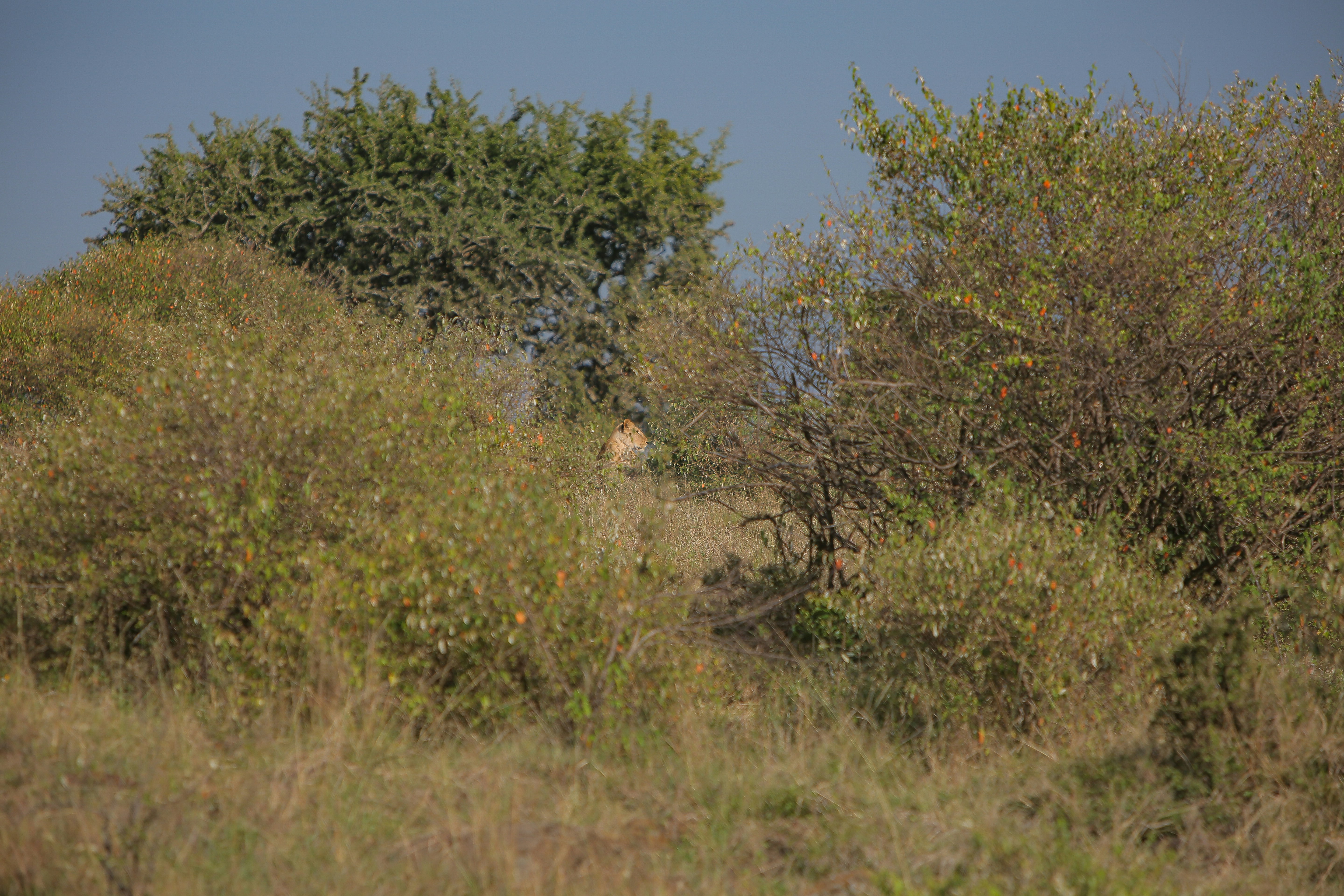 Photo by twilightkenya