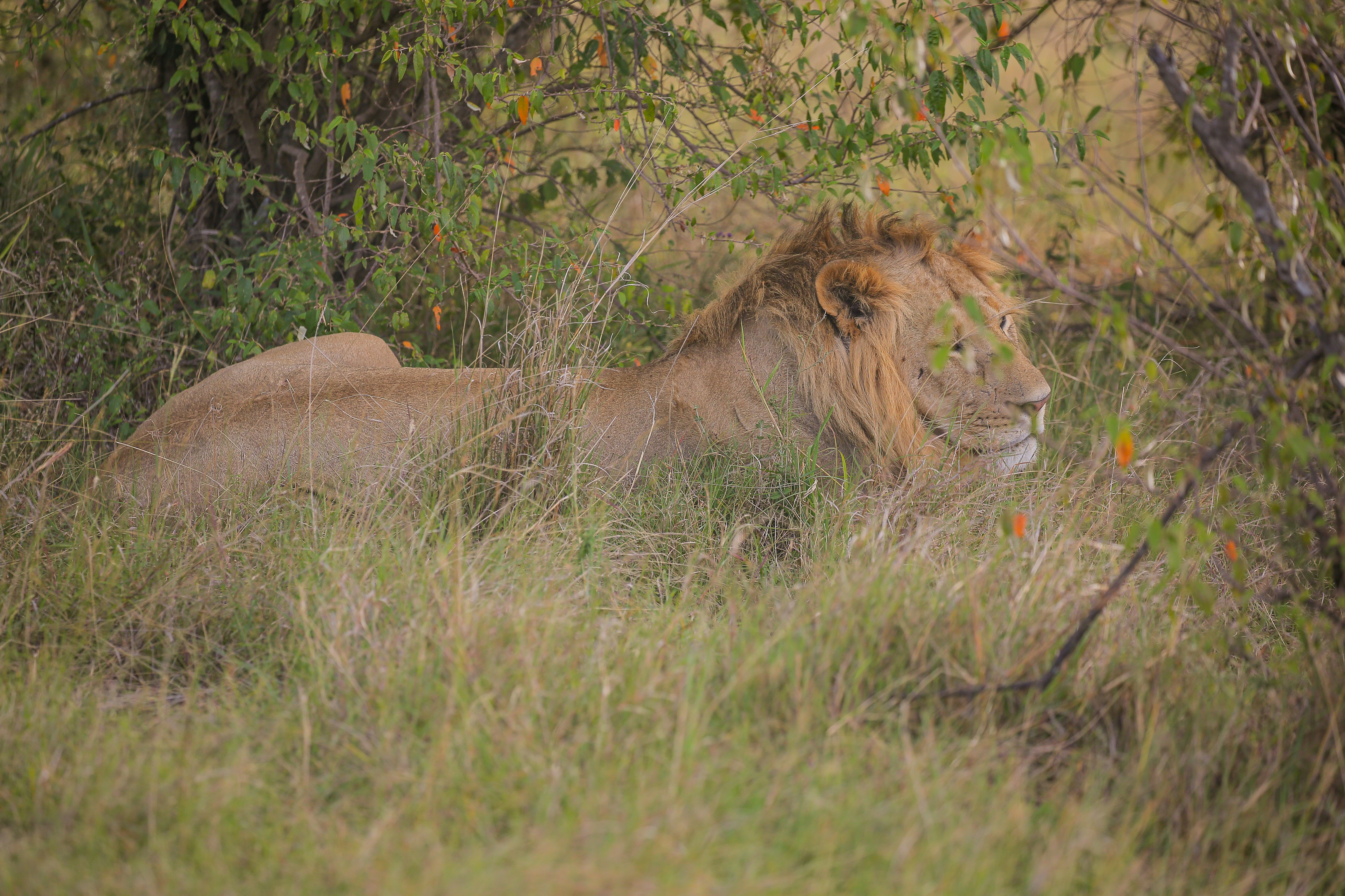 Photo by twilightkenya