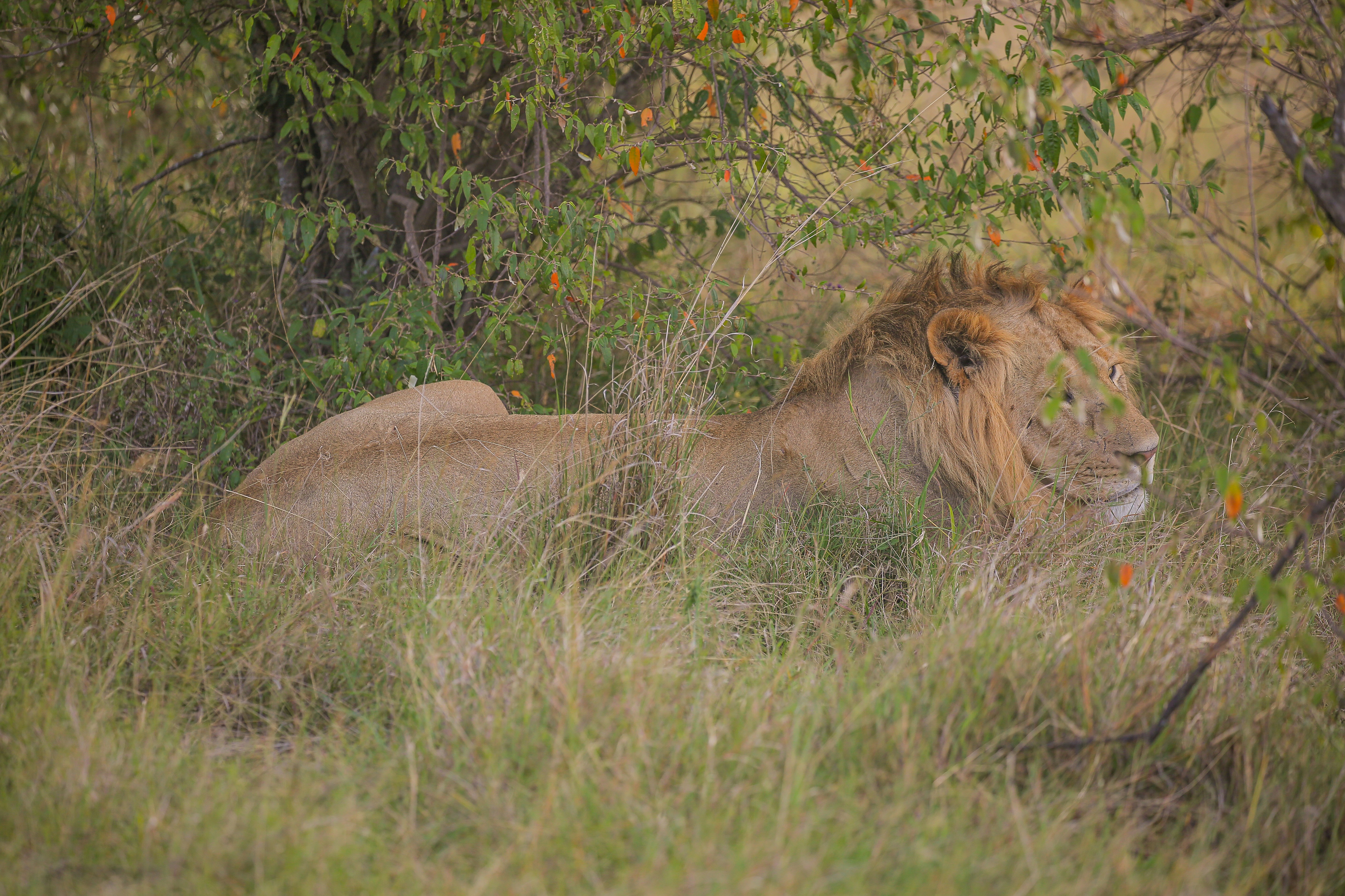 Photo by twilightkenya