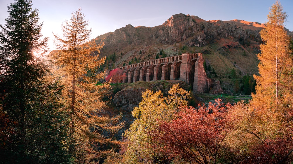 a large rock bridge over a canyon