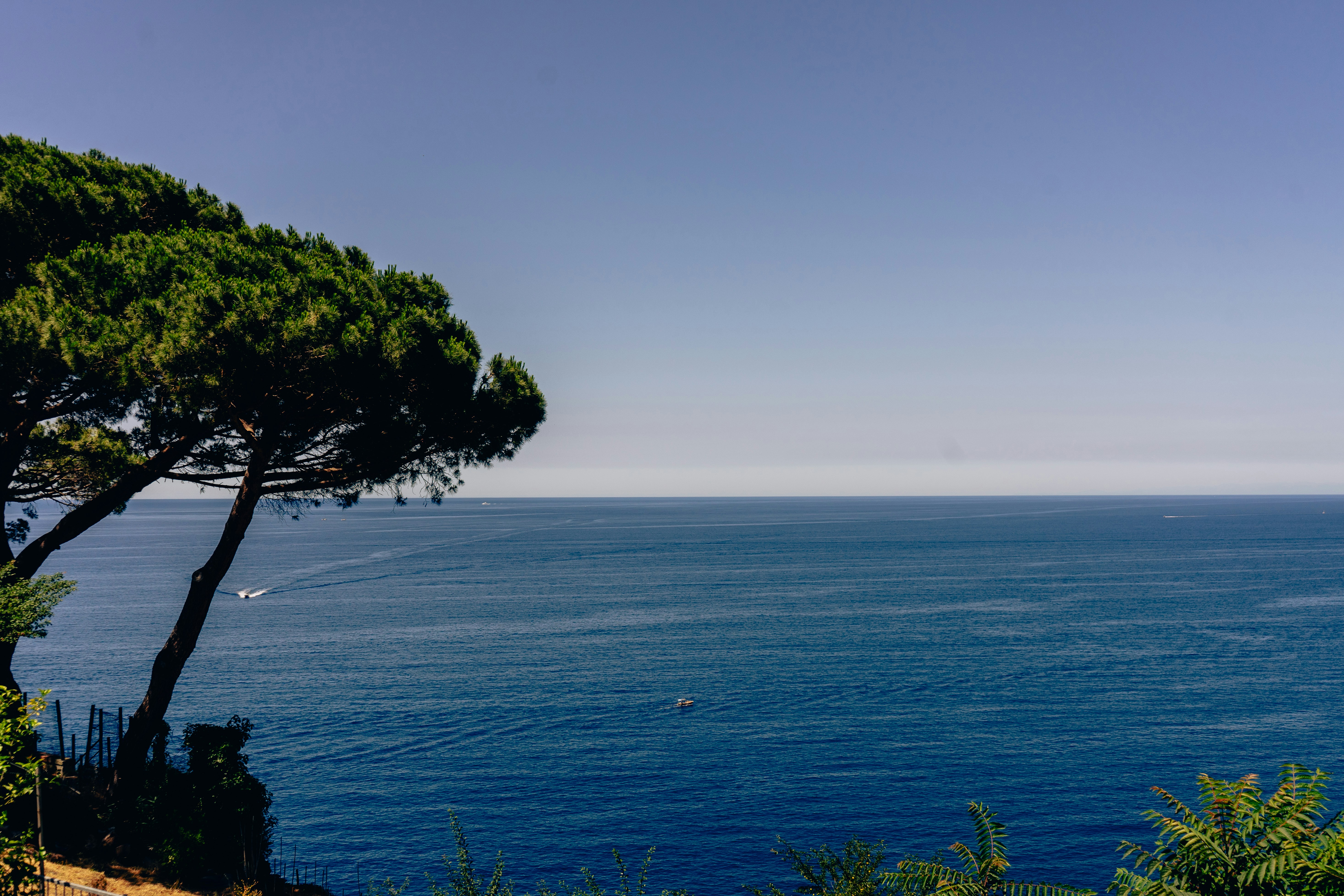 Photo by virussinside