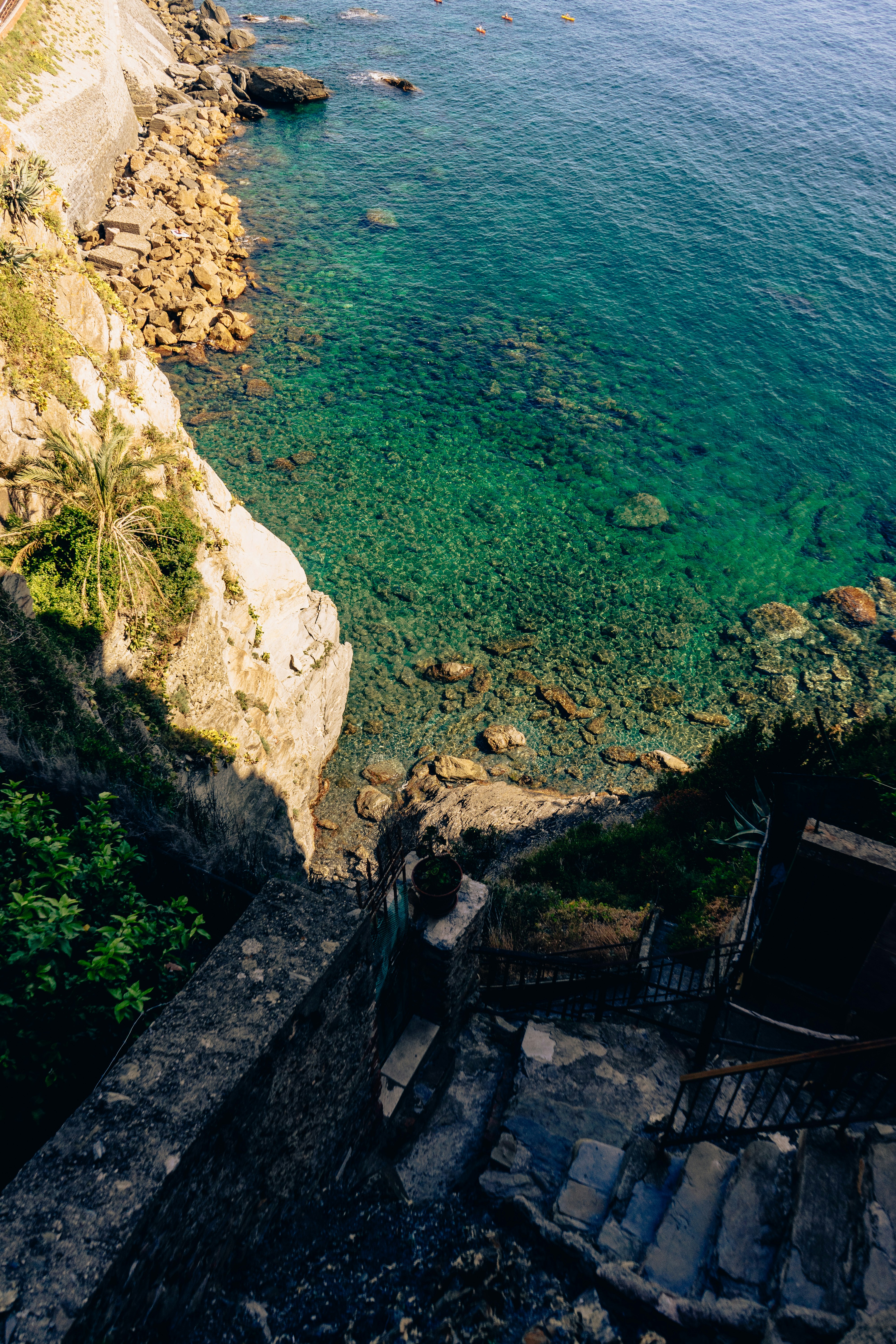 Photo by virussinside