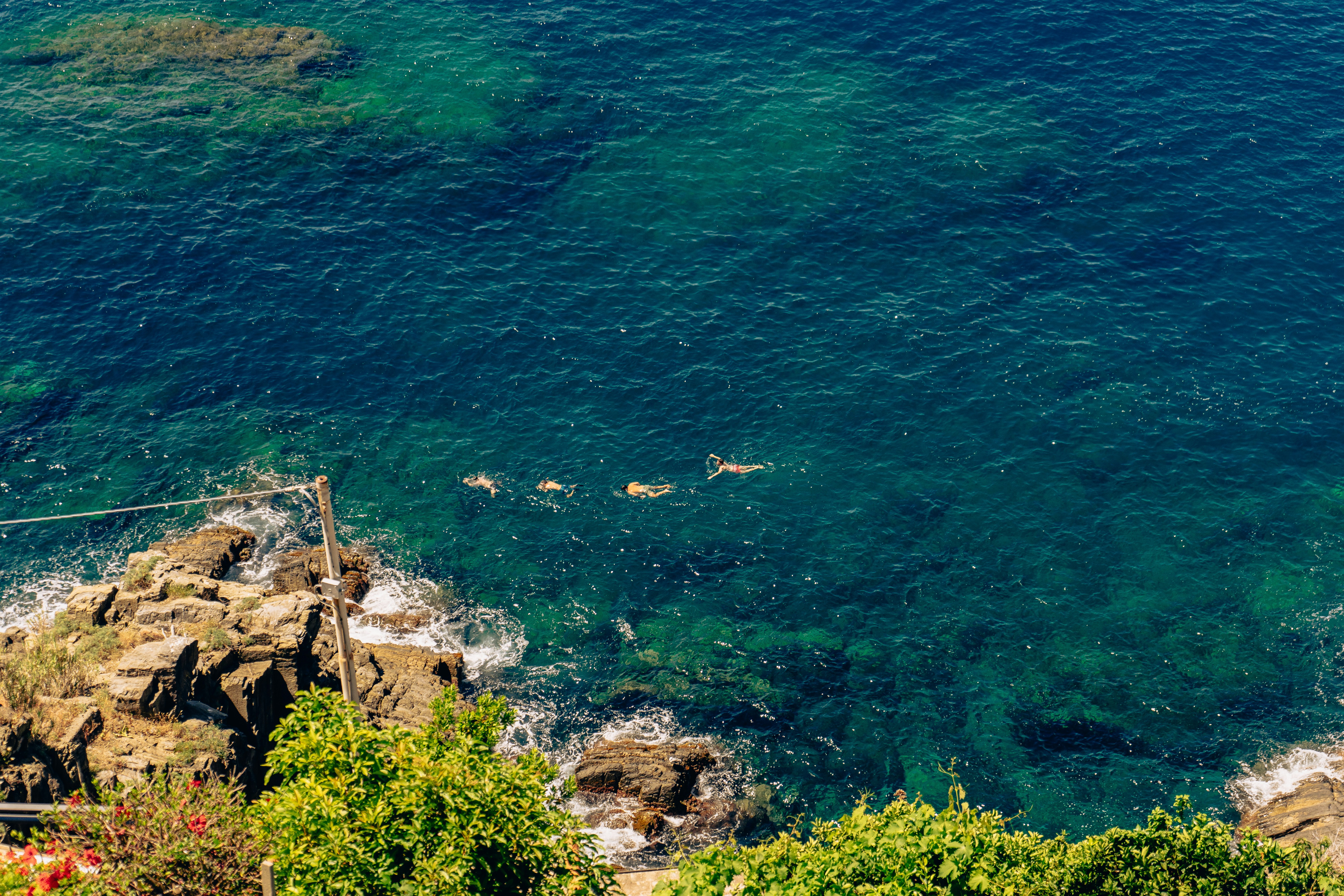 Photo by virussinside