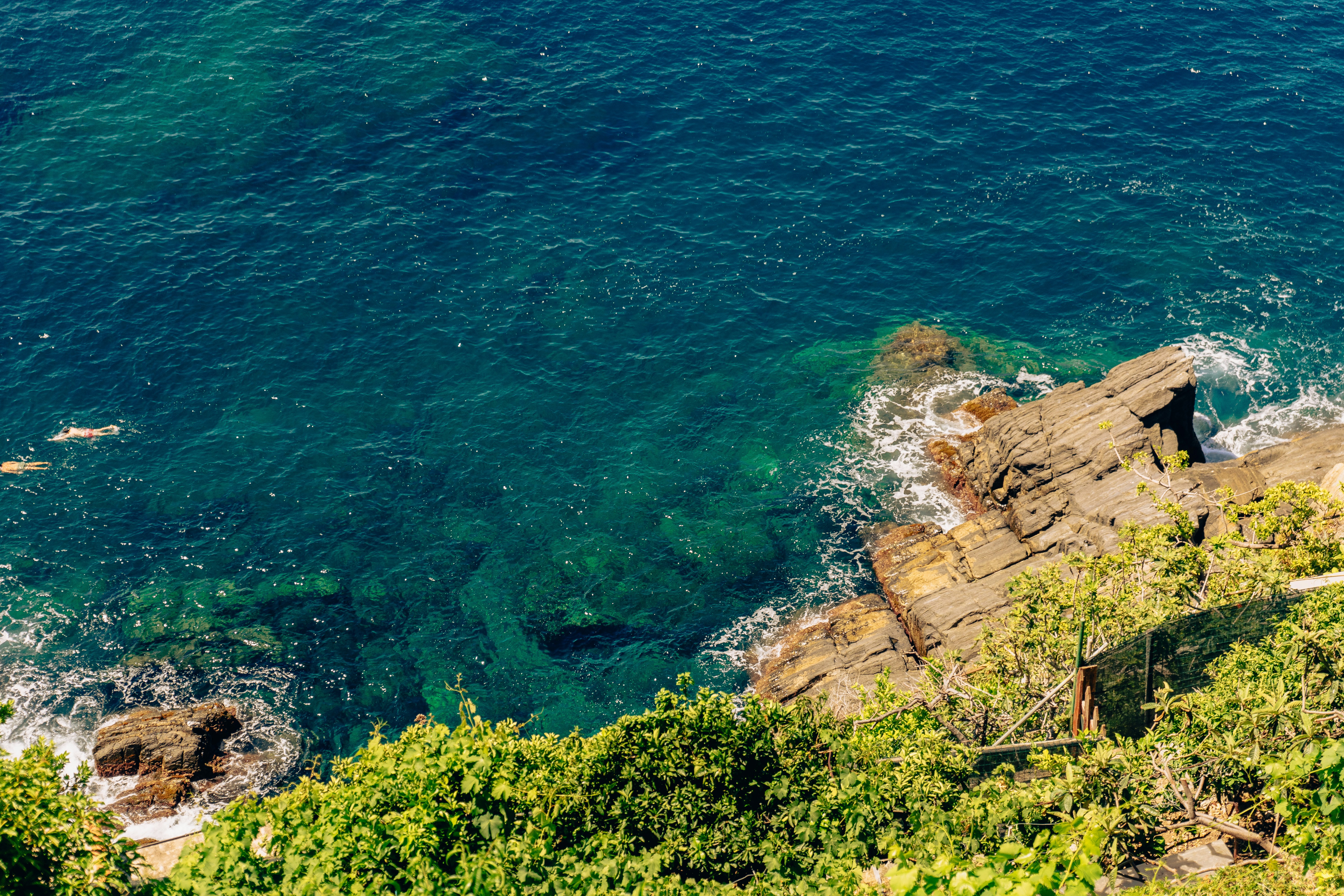 Photo by virussinside