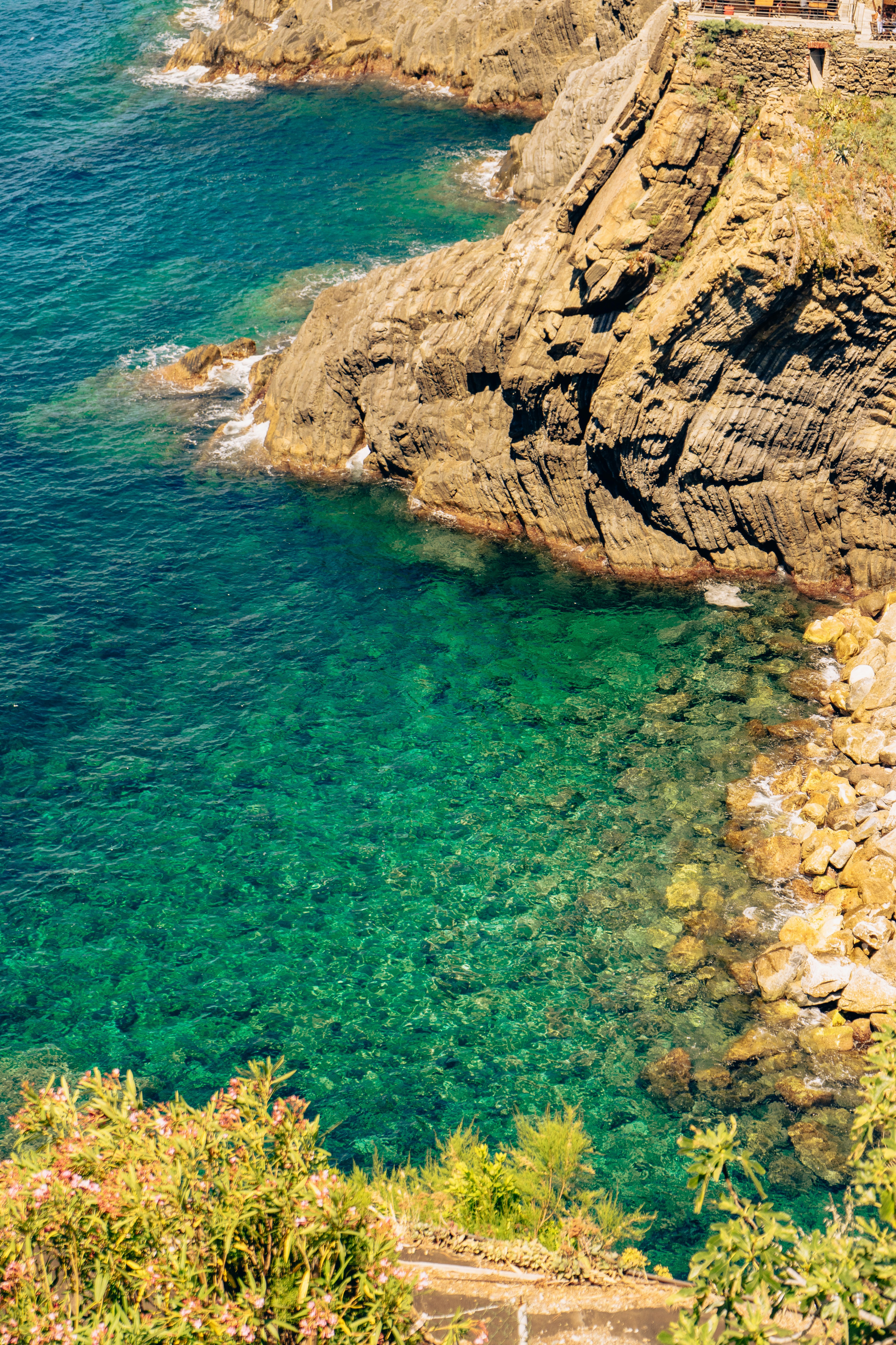 Photo by virussinside