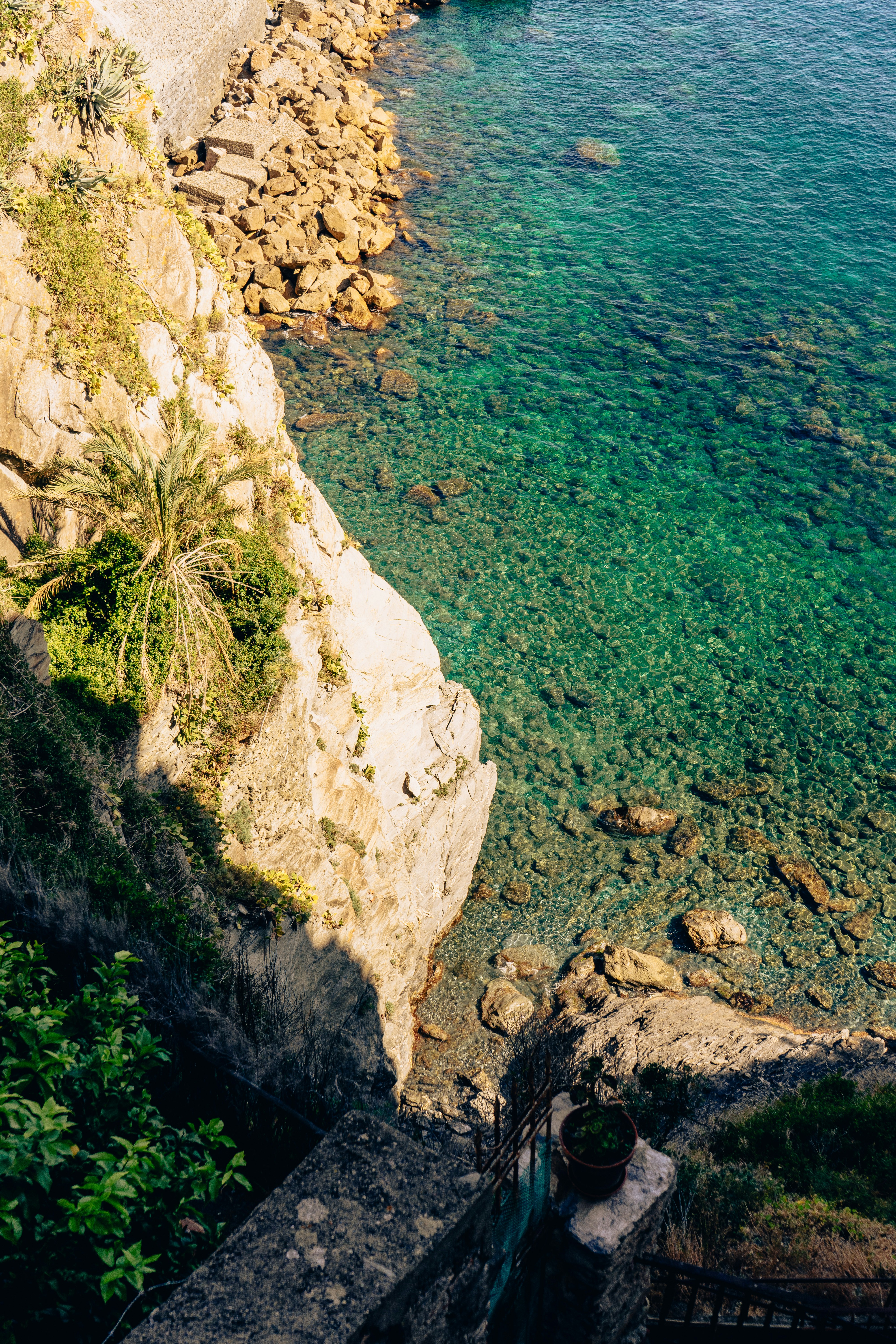 Photo by virussinside