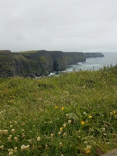 A scenic view of São Jorge Island's lush green cliffs with beehives in the foreground.