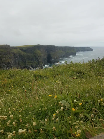 A scenic view of São Jorge Island's lush green cliffs with beehives in the foreground.