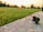 A car headlight bulb lies on a concrete surface in the foreground against a backdrop of a lush, green field and silhouetted trees. The sky is warm and glowing with hues of orange and yellow as the sun sets, casting a peaceful aura over the scene.