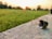A car headlight bulb lies on a concrete surface in the foreground against a backdrop of a lush, green field and silhouetted trees. The sky is warm and glowing with hues of orange and yellow as the sun sets, casting a peaceful aura over the scene.