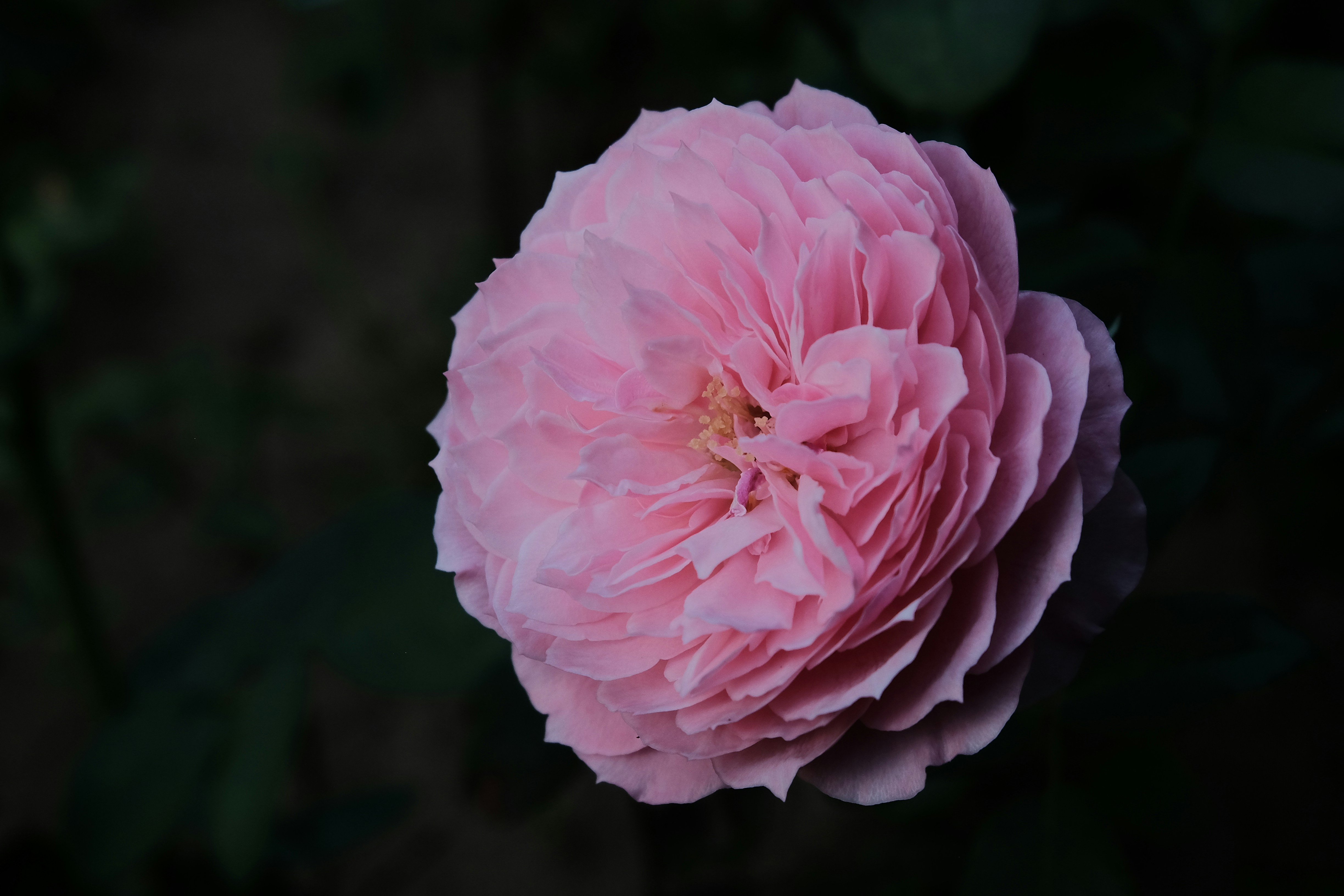 Photo by jhrcsts1206