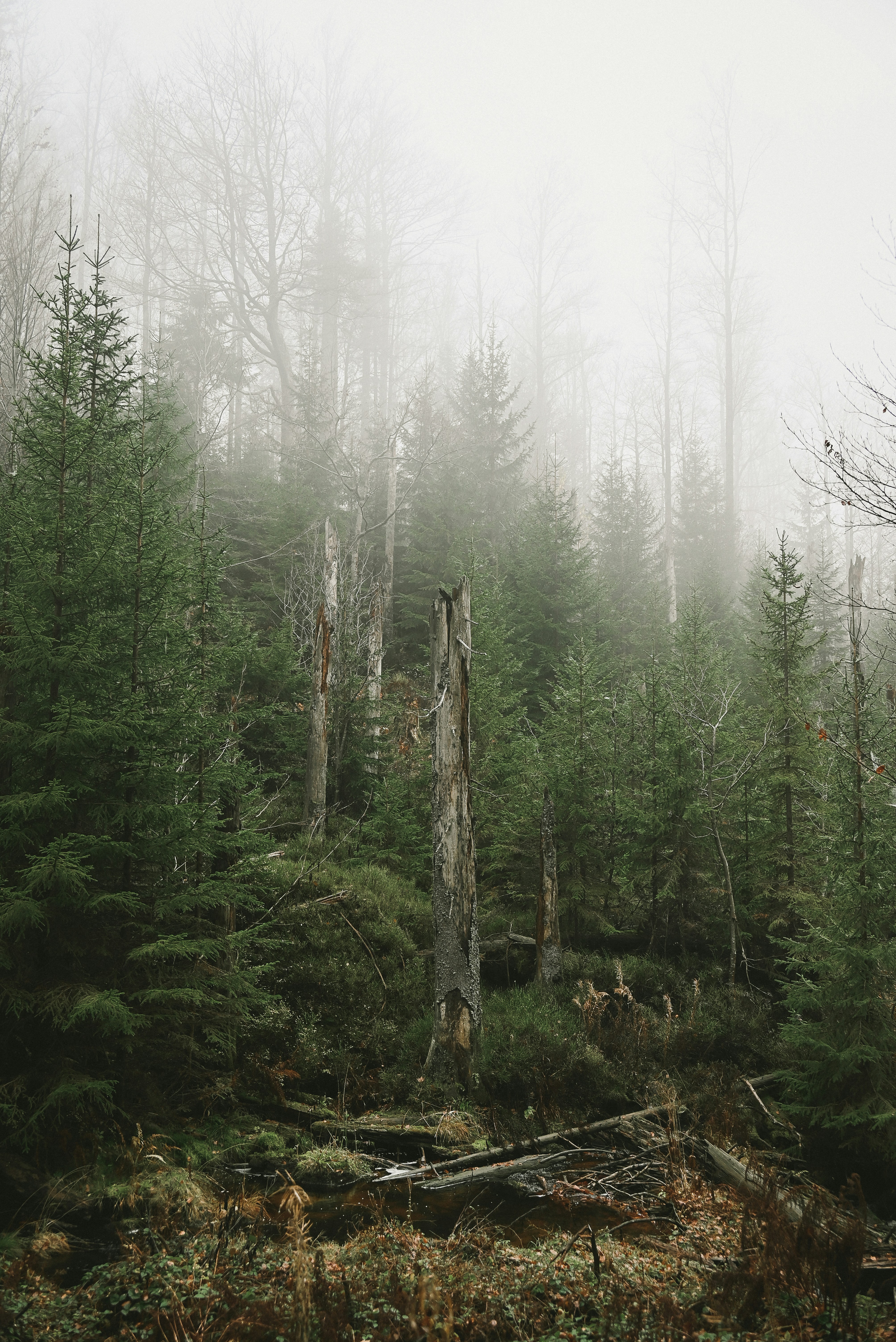 Photo by jetztabertempo