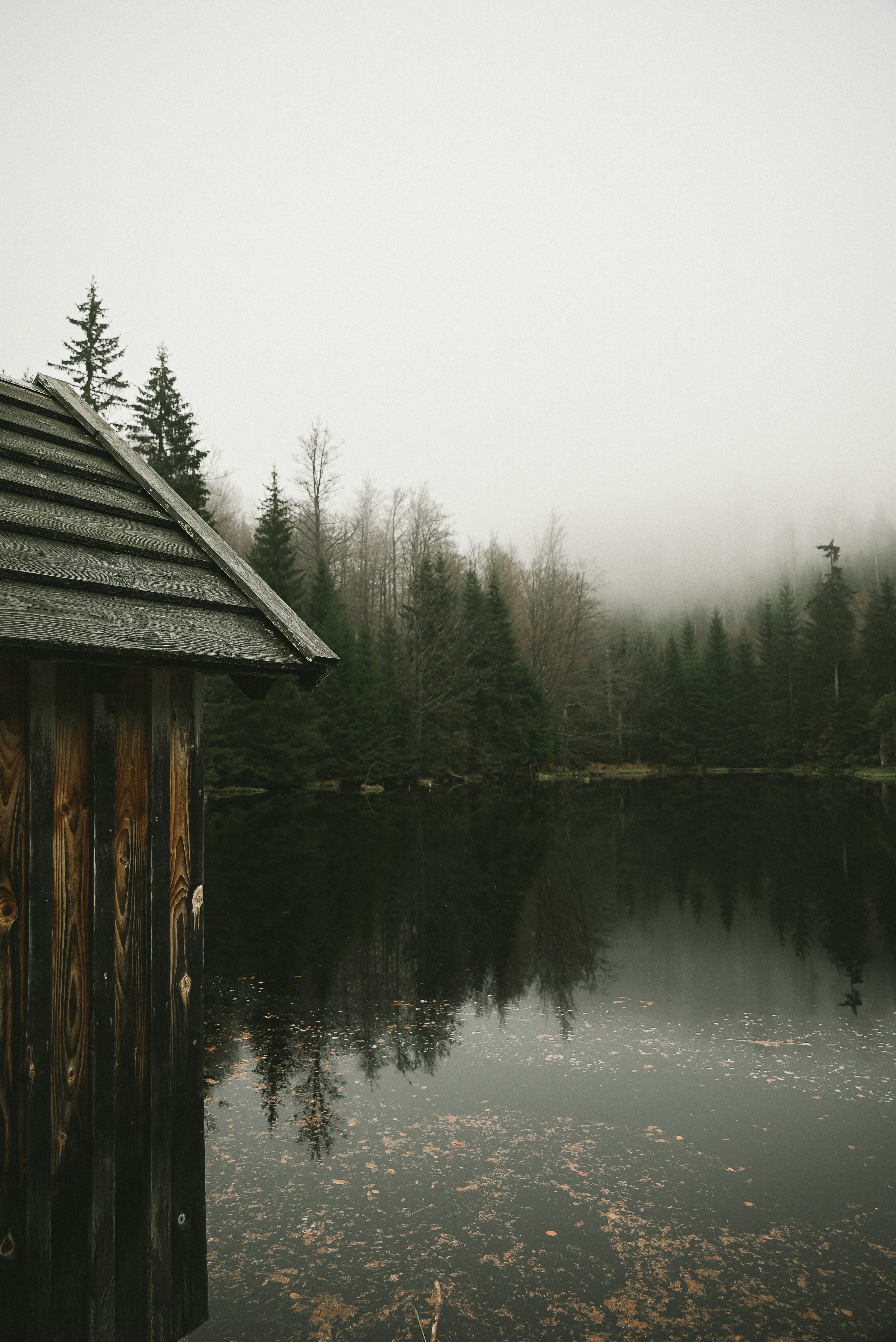 Photo by jetztabertempo