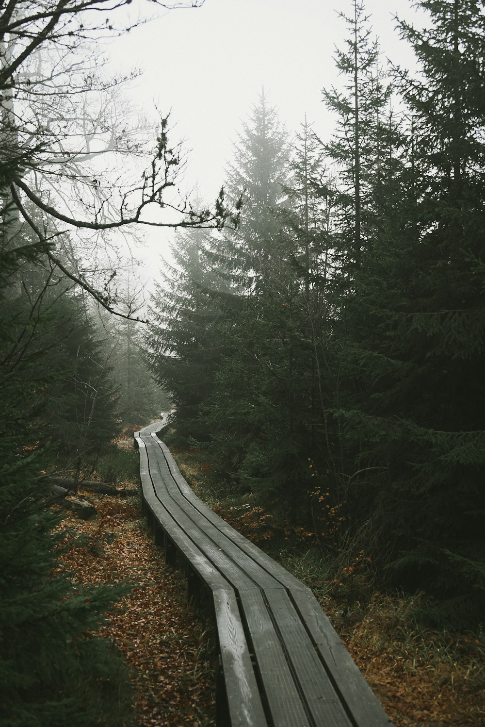 a wooden bridge over a river