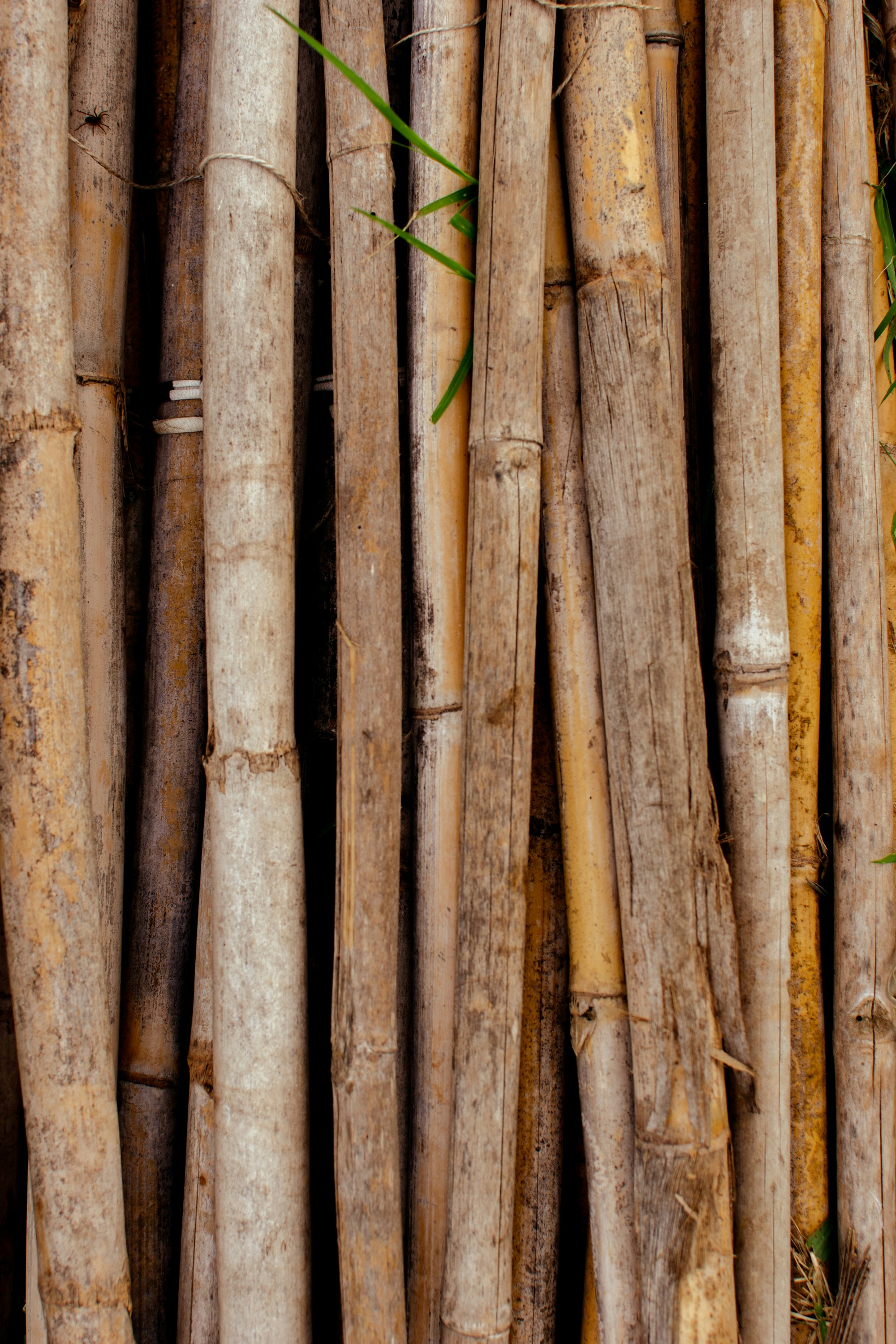 Photo by _nomadproductions