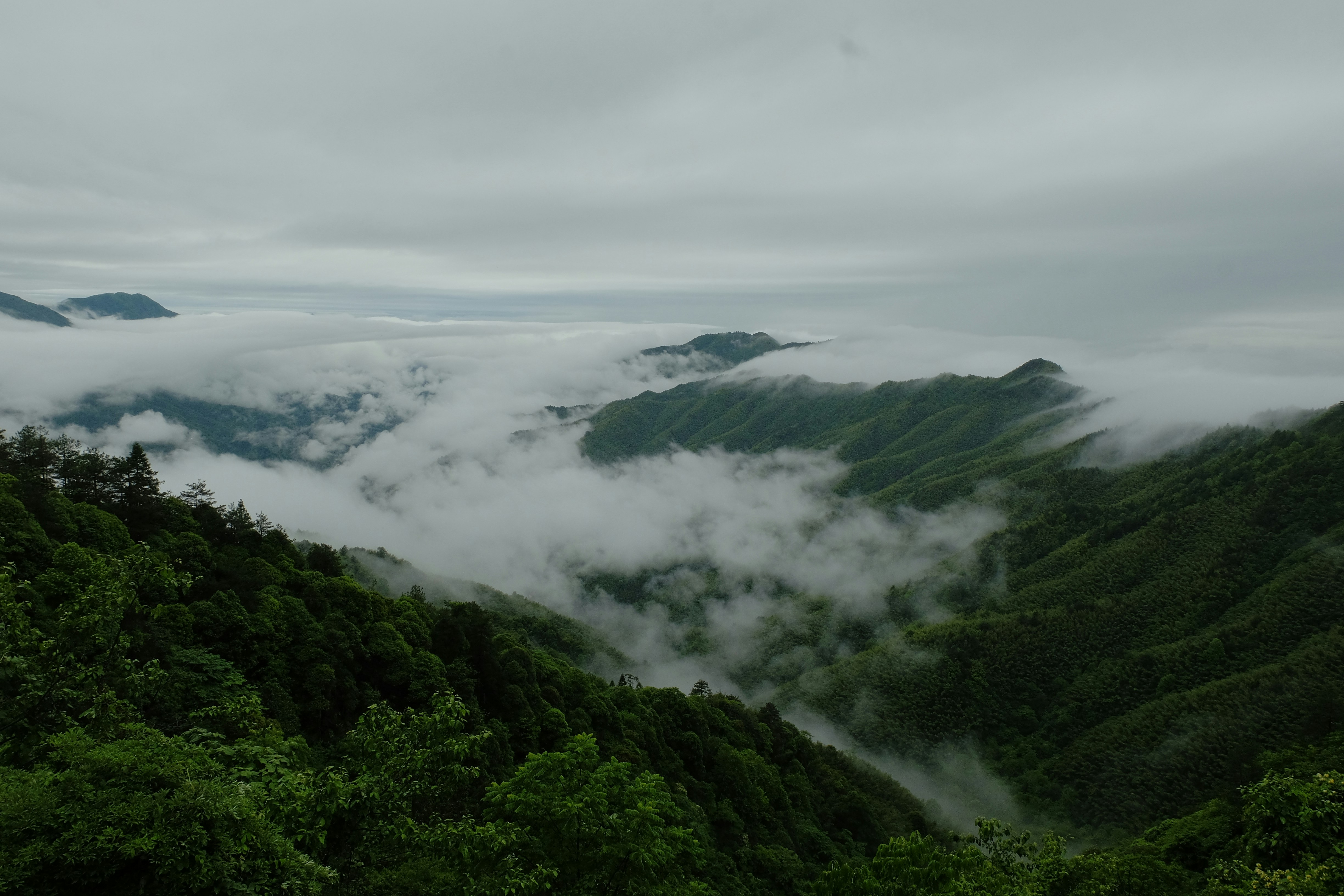 Photo by jhrcsts1206