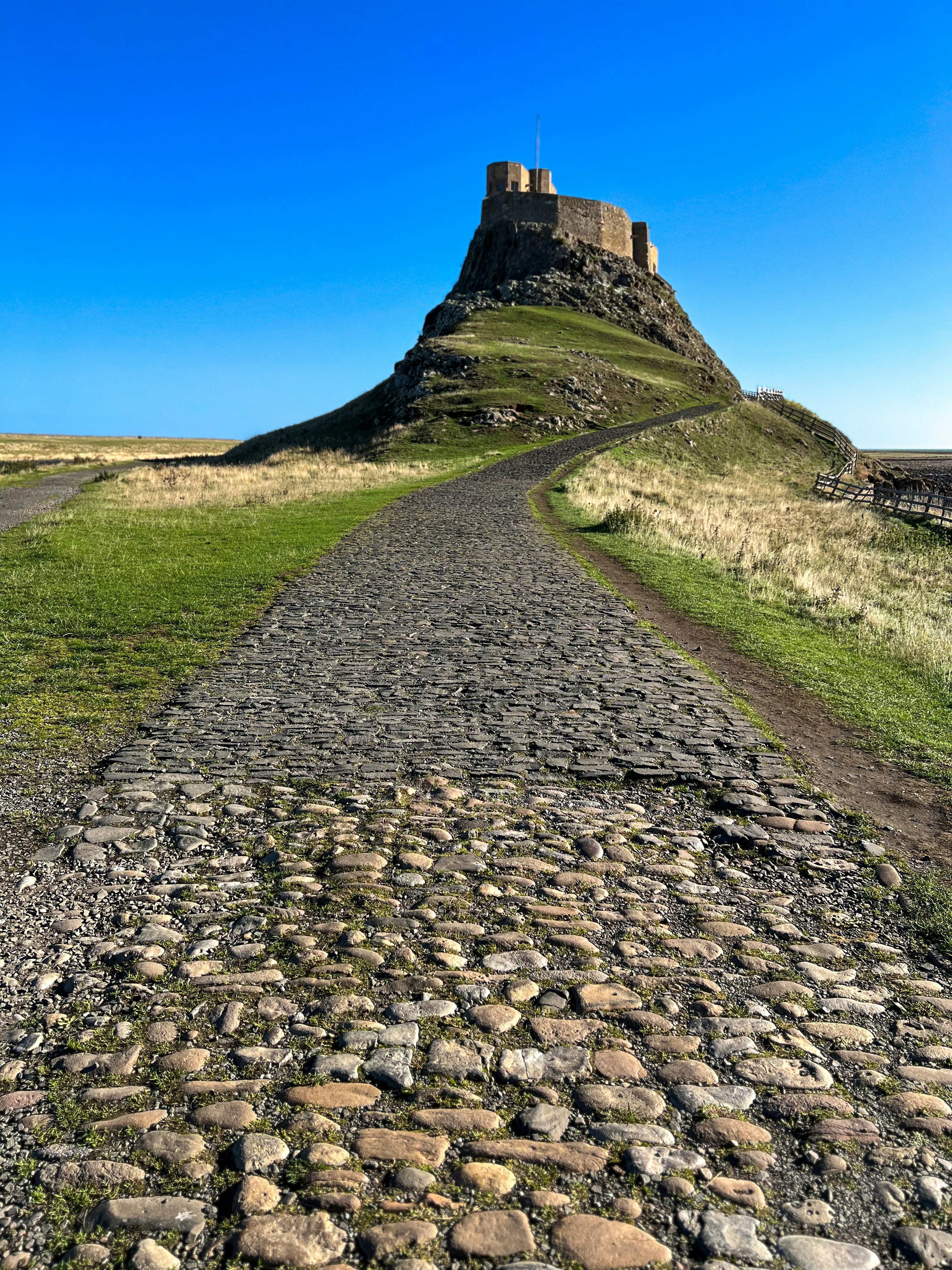a stone road leading to a castle