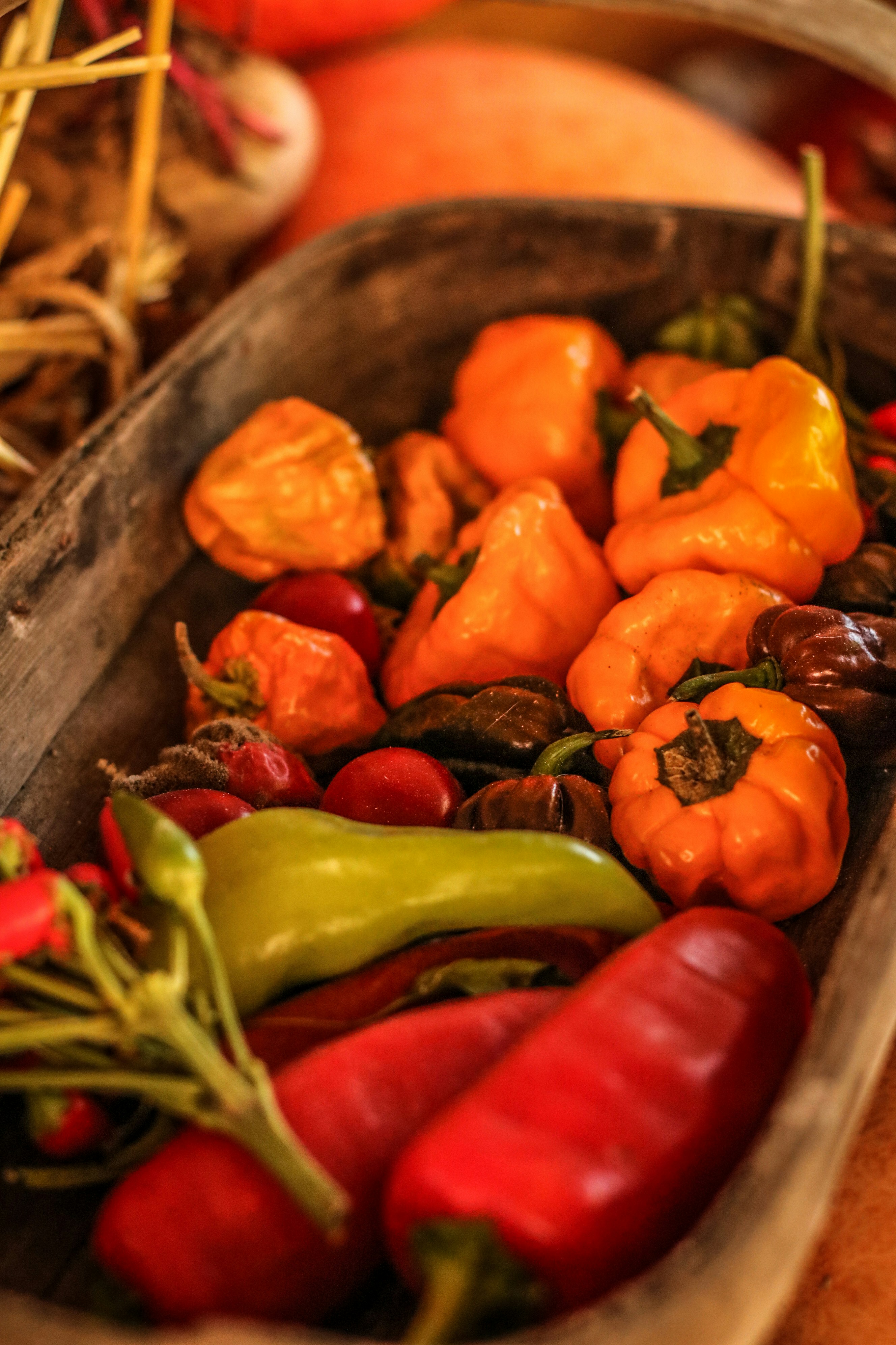 Fiery Blaze Hot Sauce