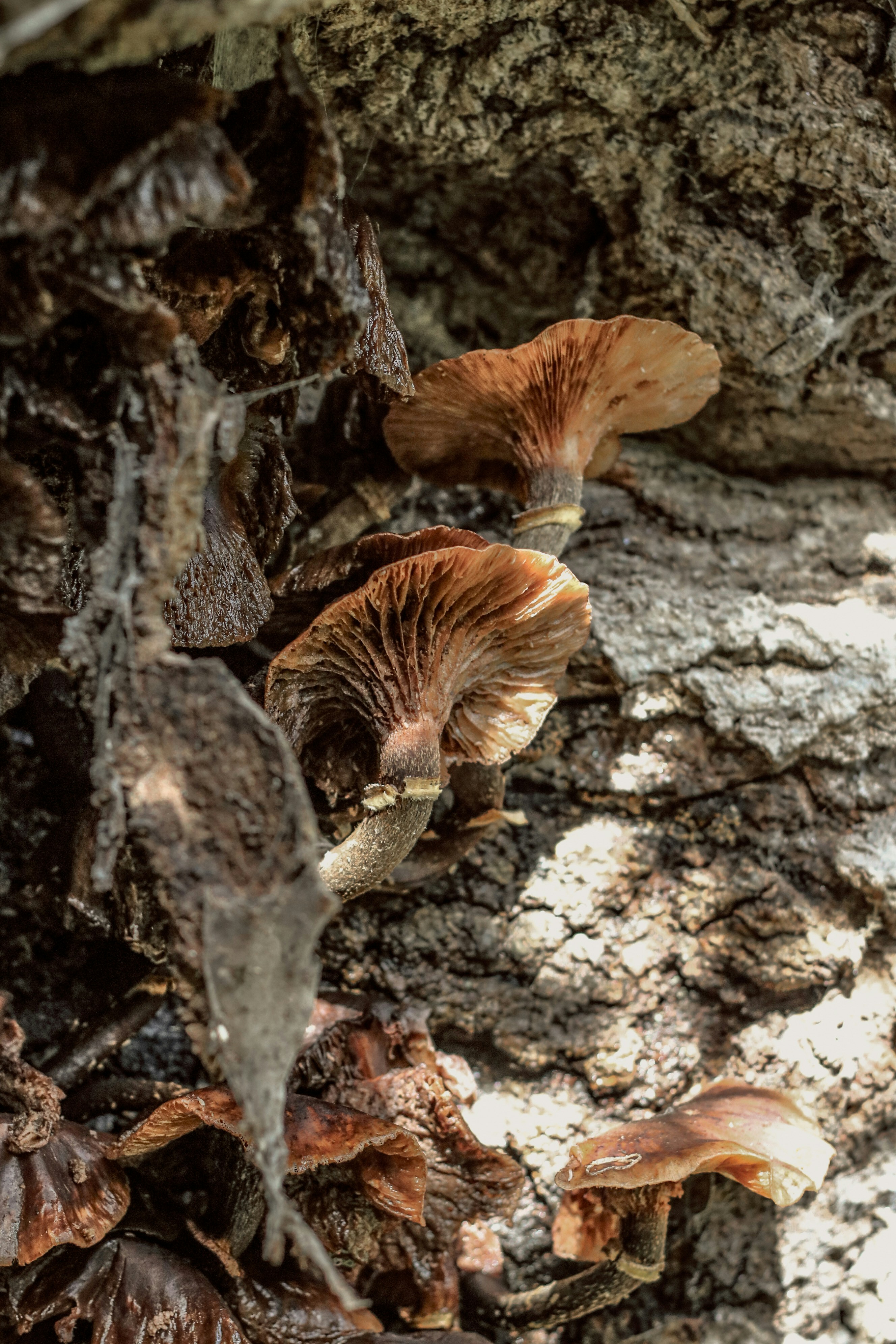 Photo by focalinsight