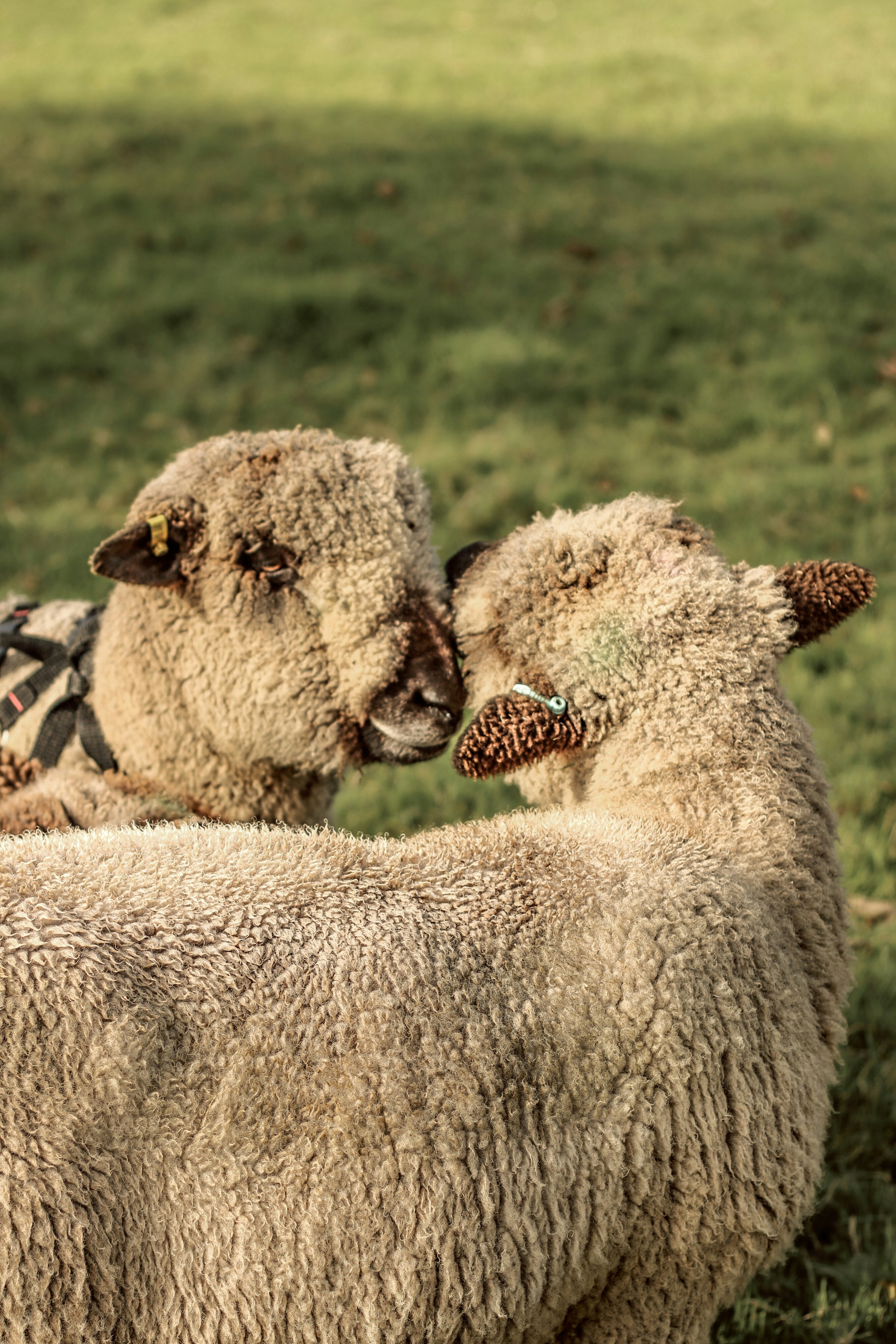 Photo by focalinsight