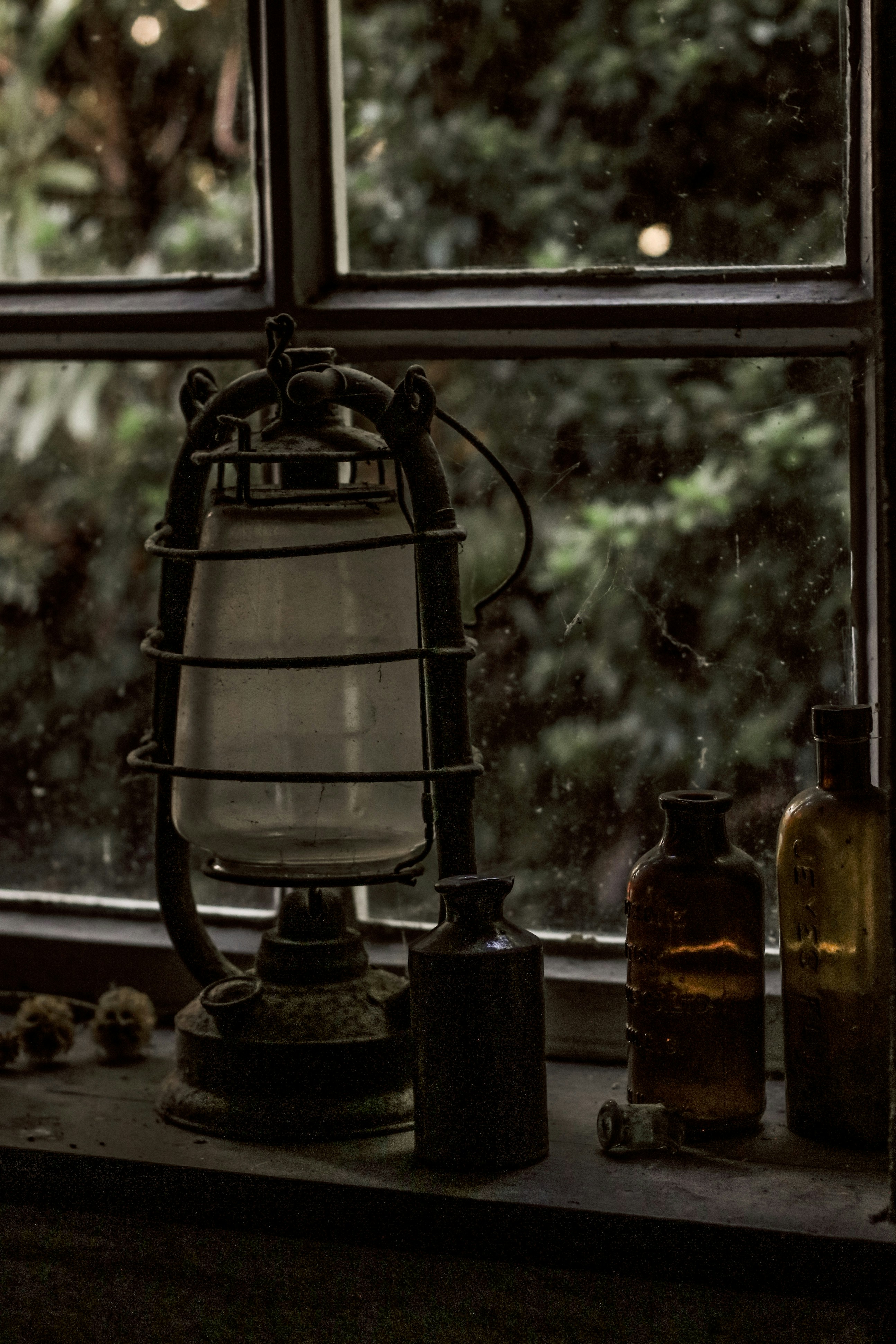 Photo by focalinsight