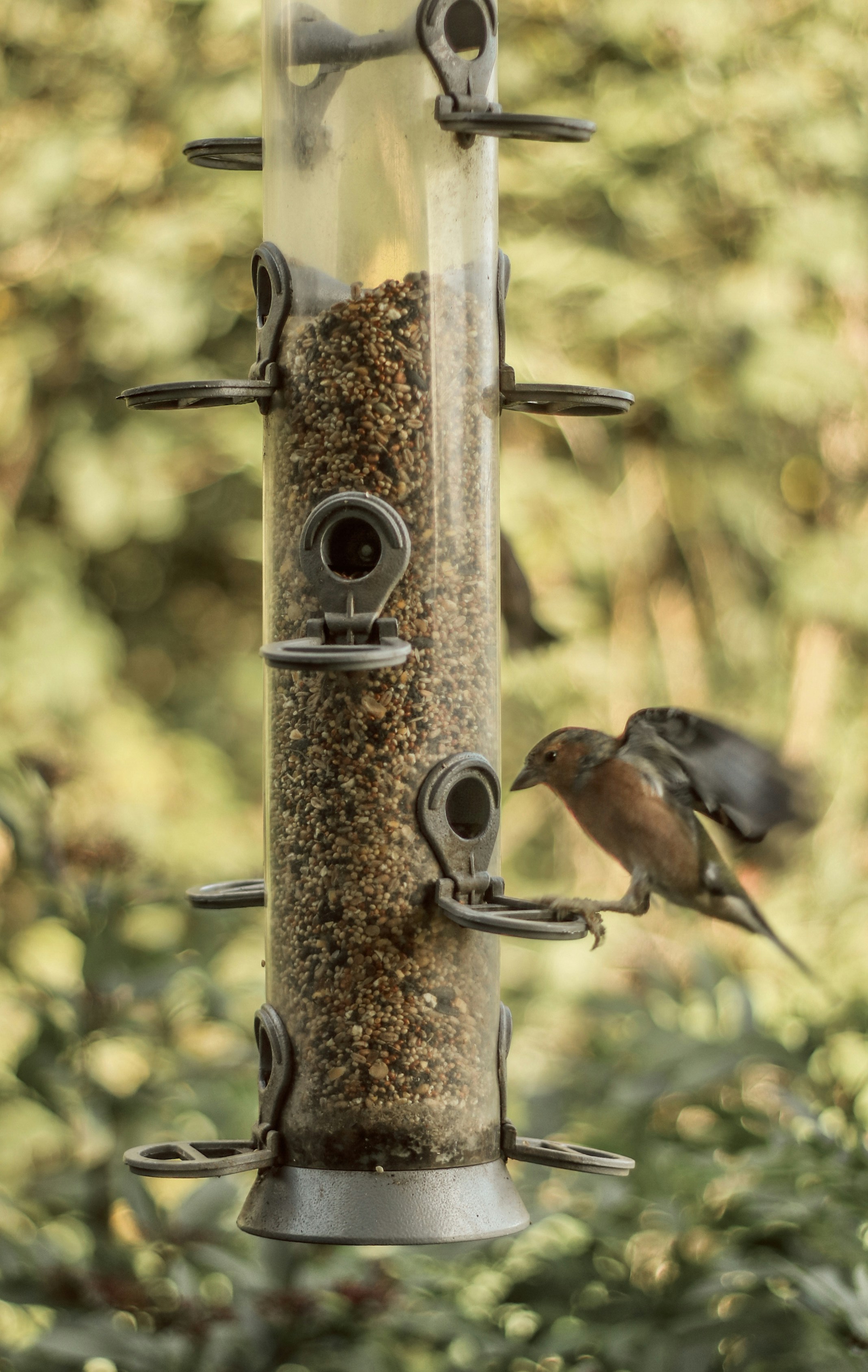 Photo by focalinsight