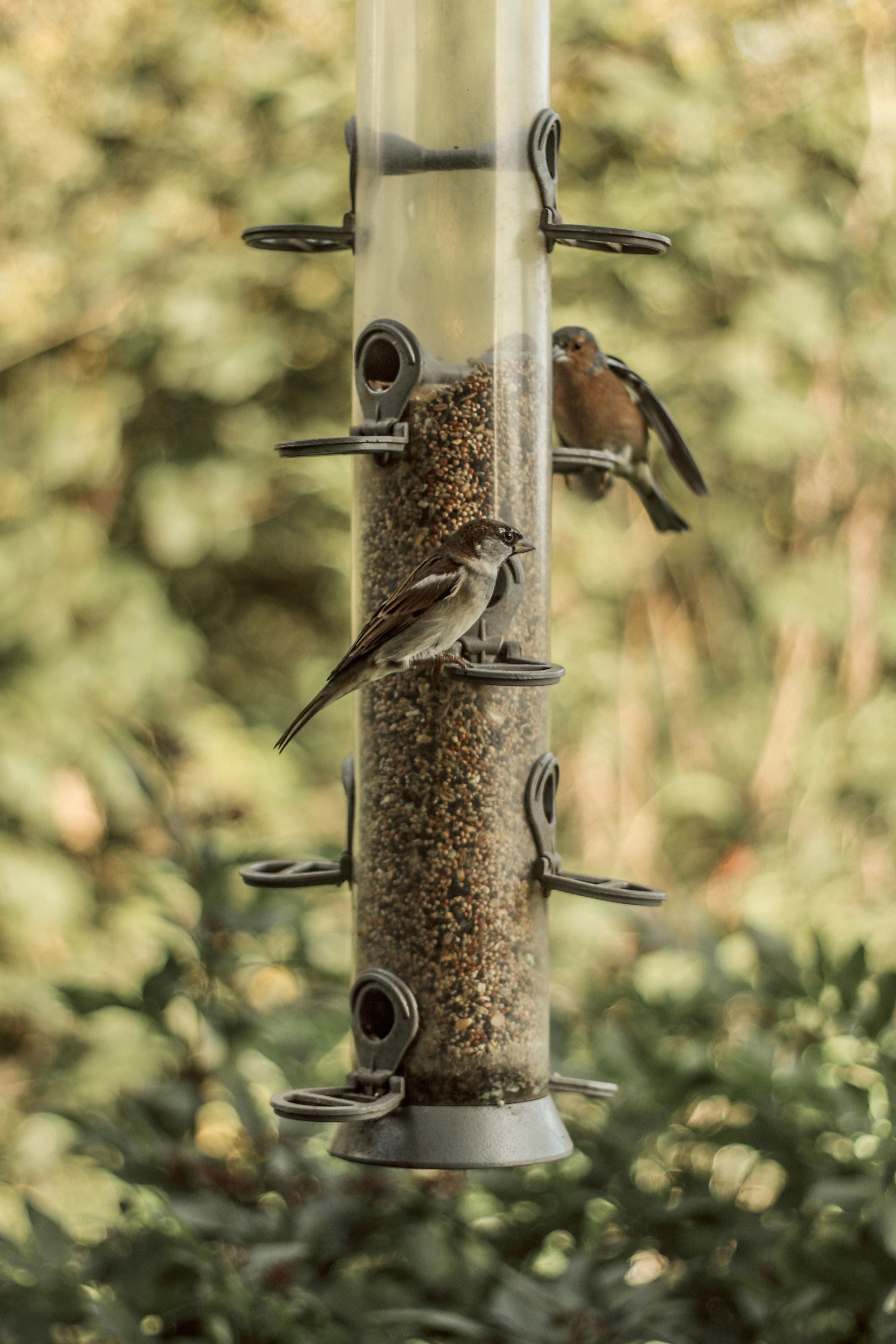 Photo by focalinsight