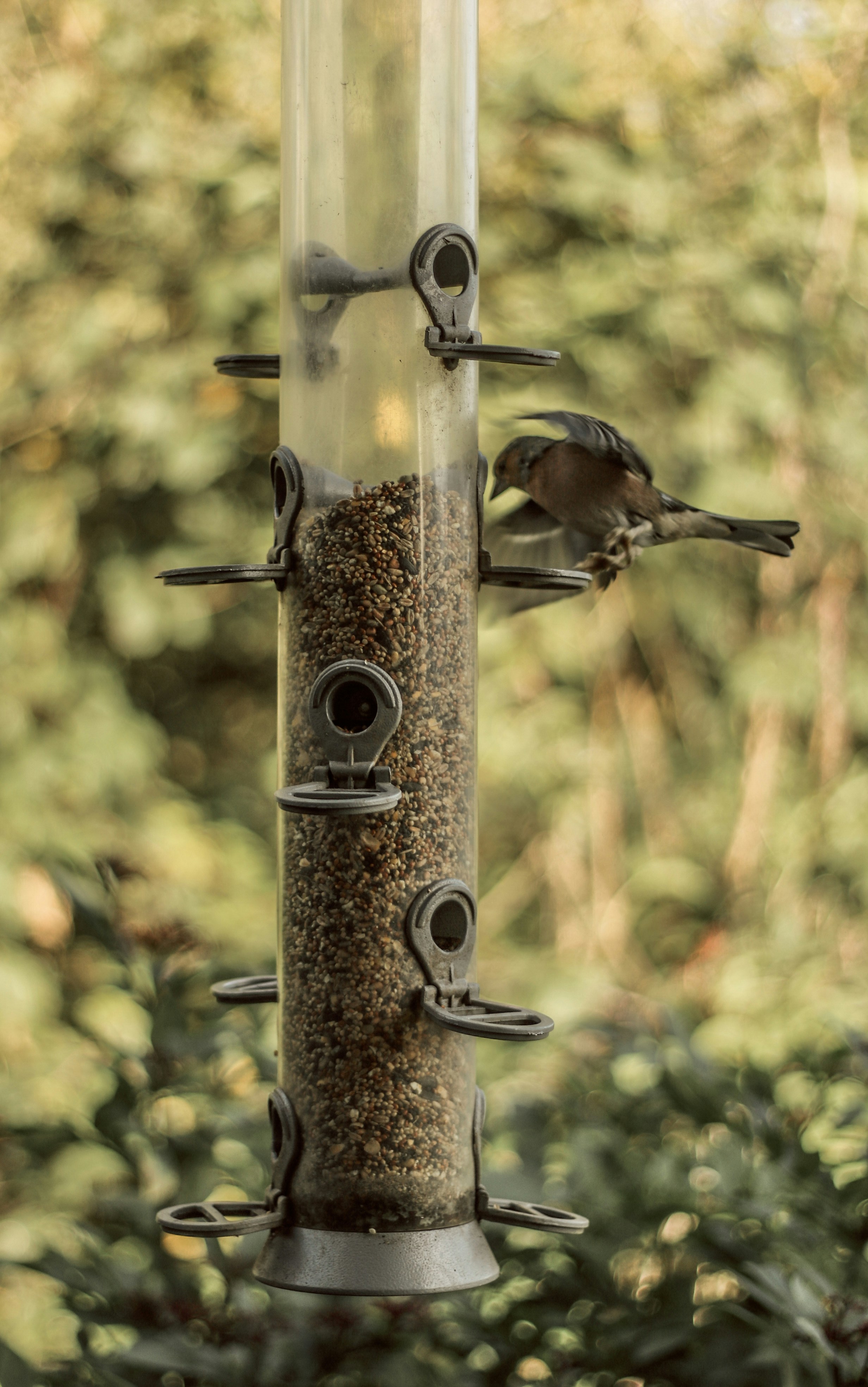 Photo by focalinsight