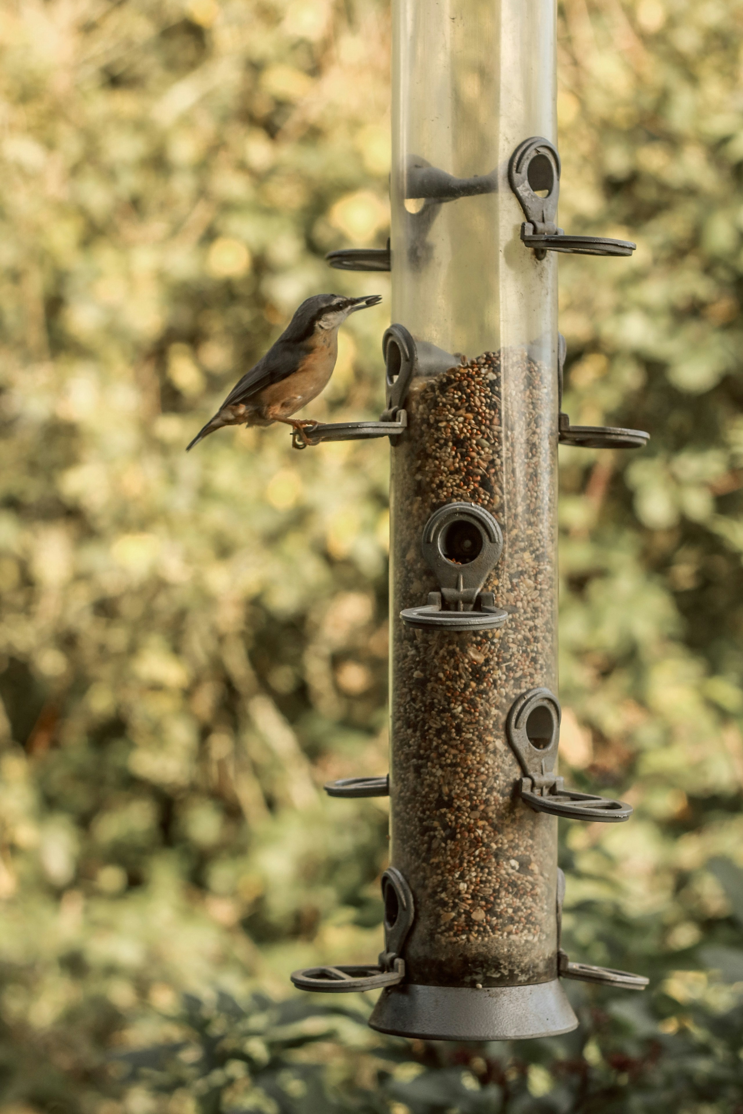 Photo by focalinsight