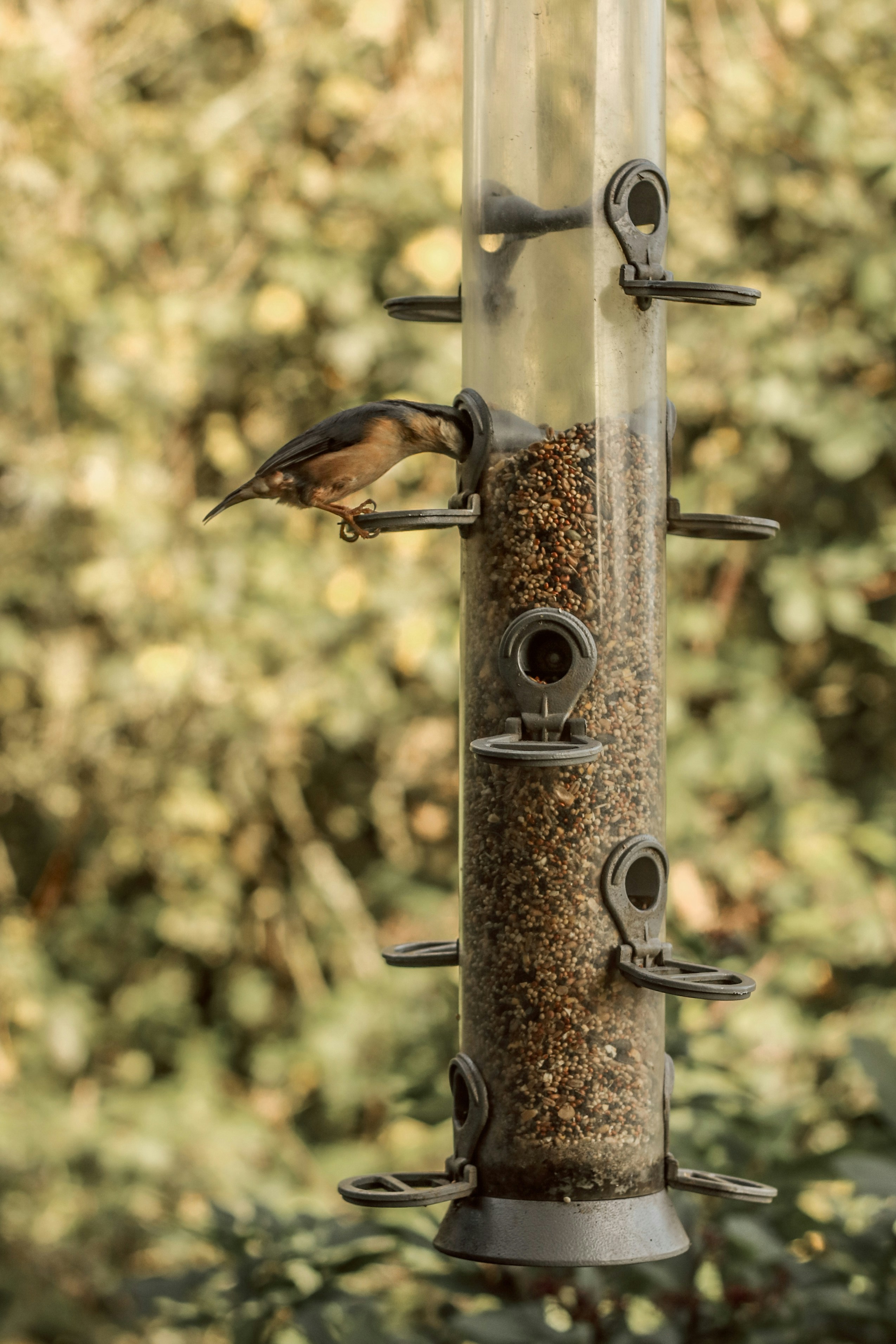 Photo by focalinsight