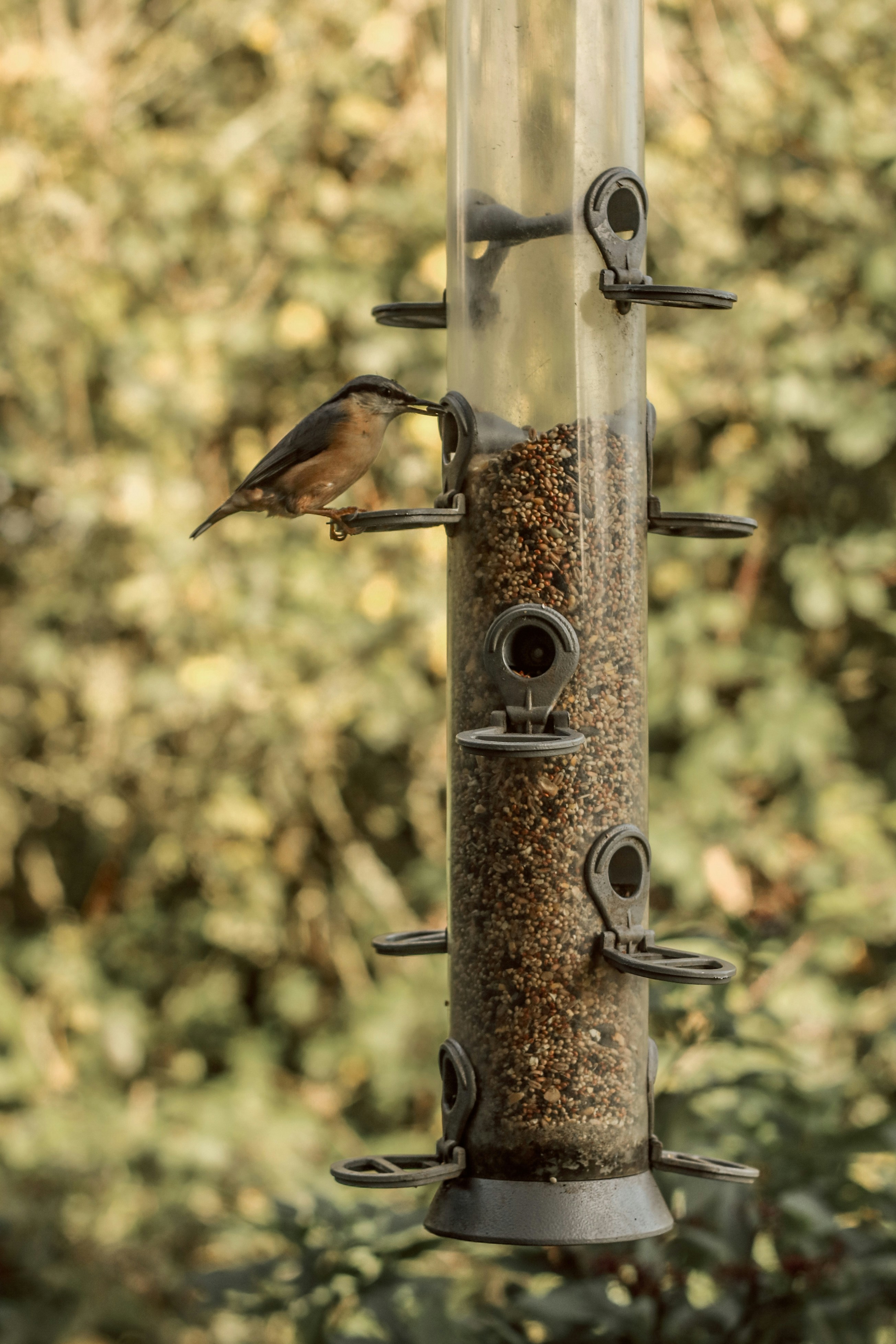 Photo by focalinsight