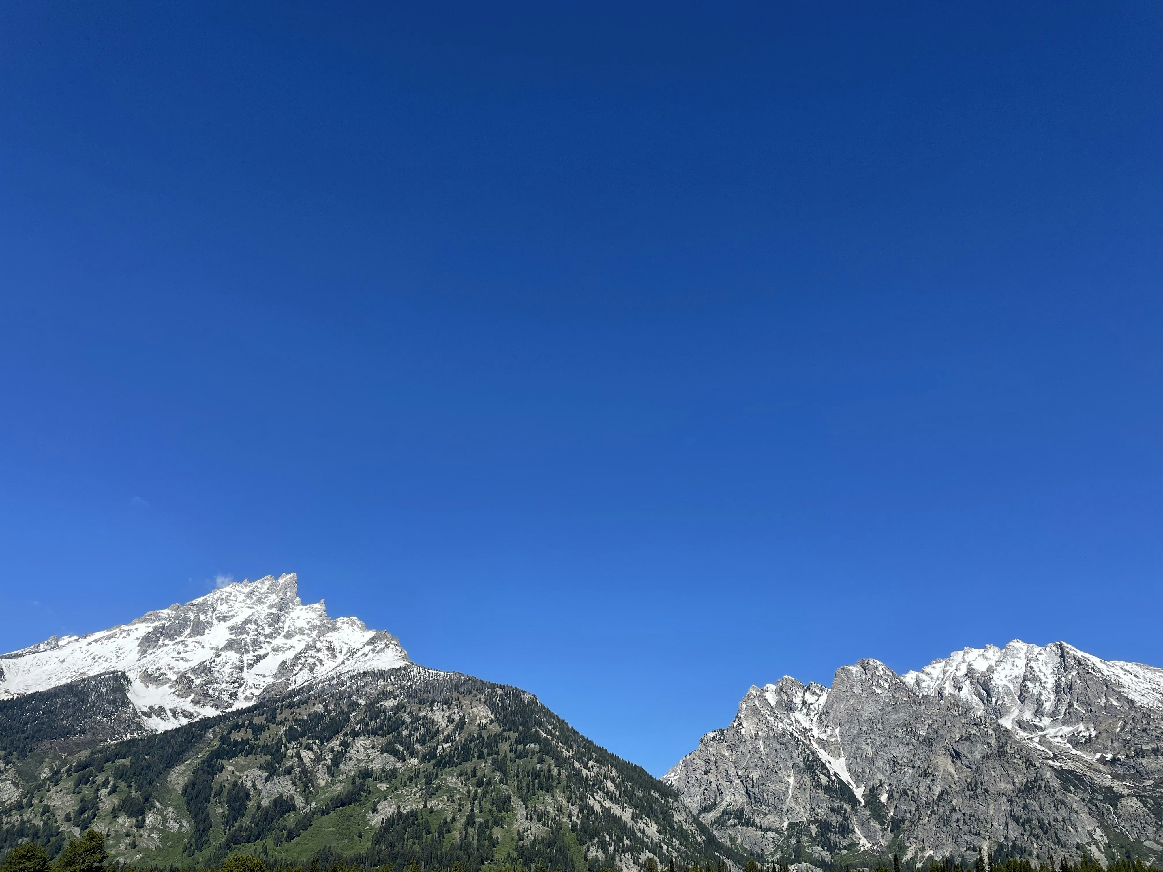 Photo by collinborsheim