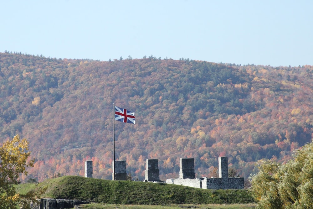 a flag on a pole in front of a hill with trees
