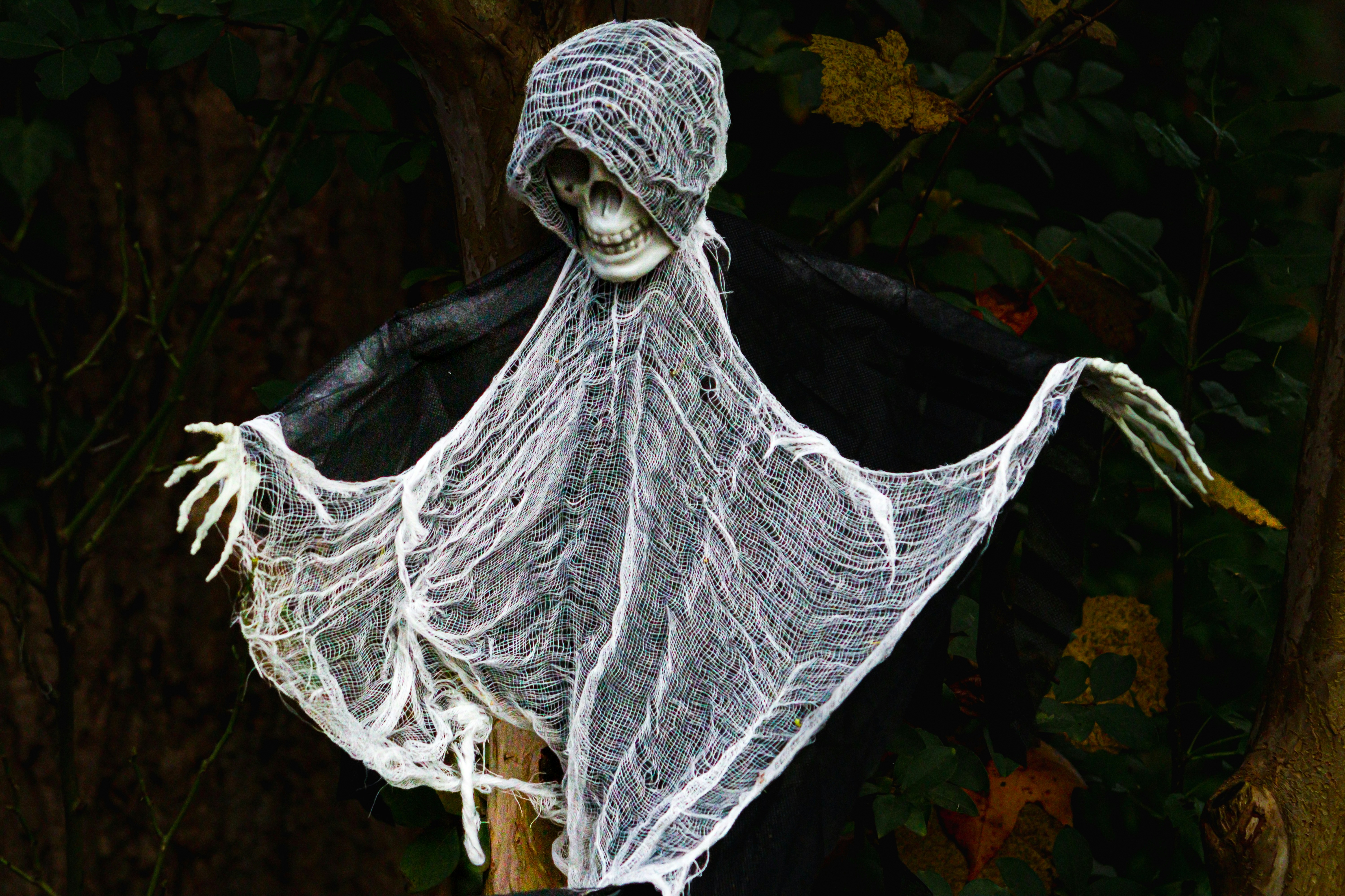 Photo by ashlynnephotos