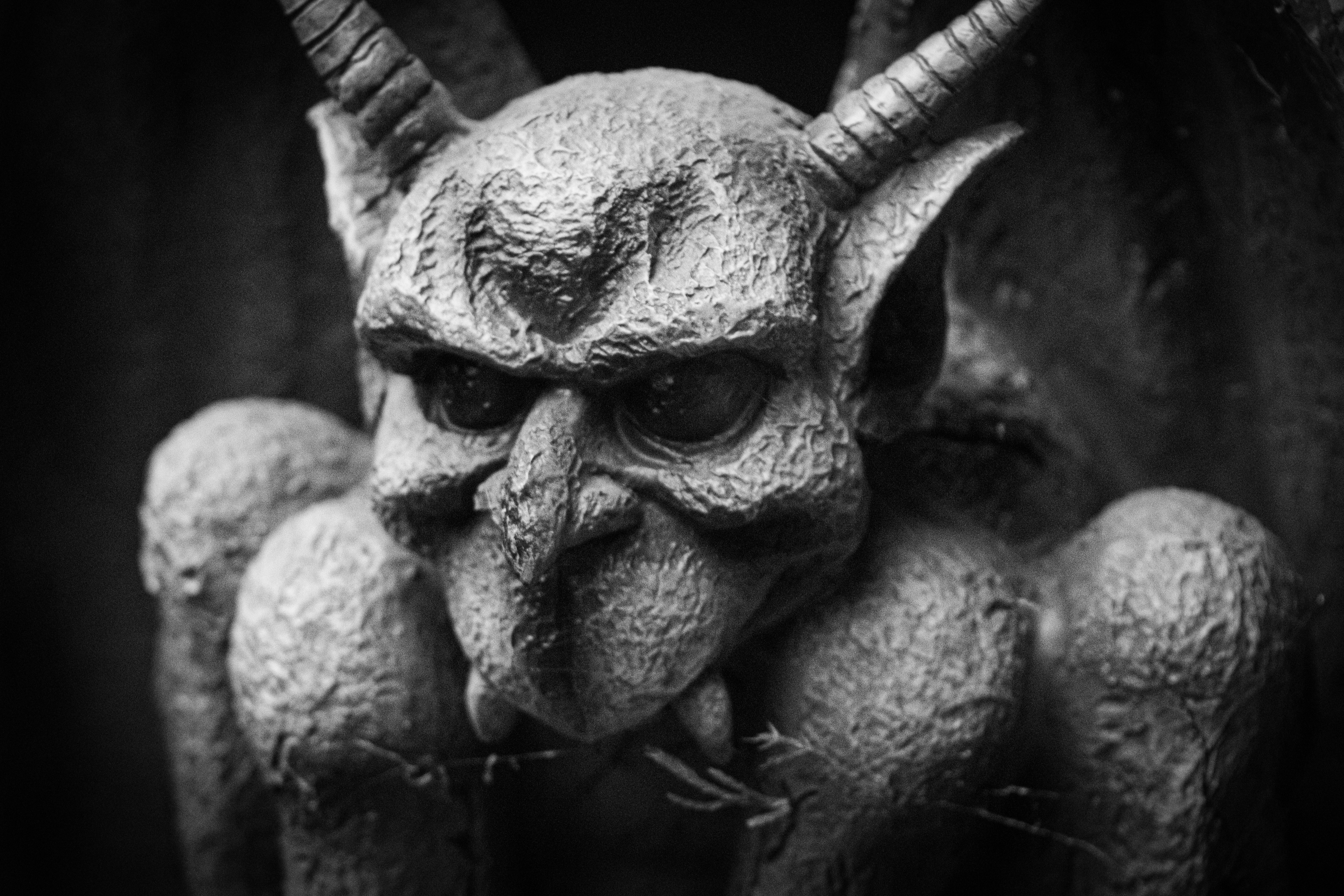 Photo by ashlynnephotos