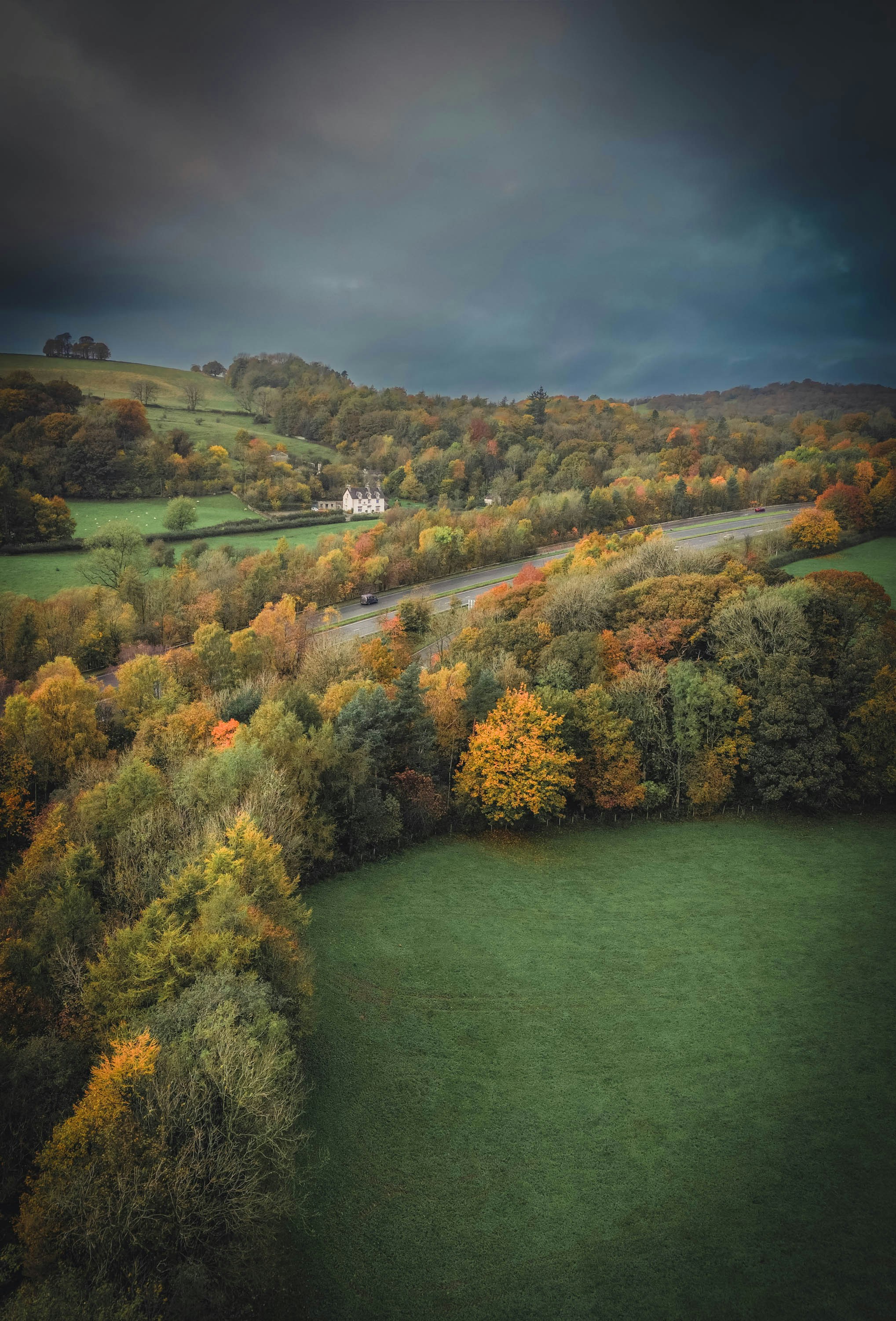 Eine Landschaft mit Bäumen und Gras