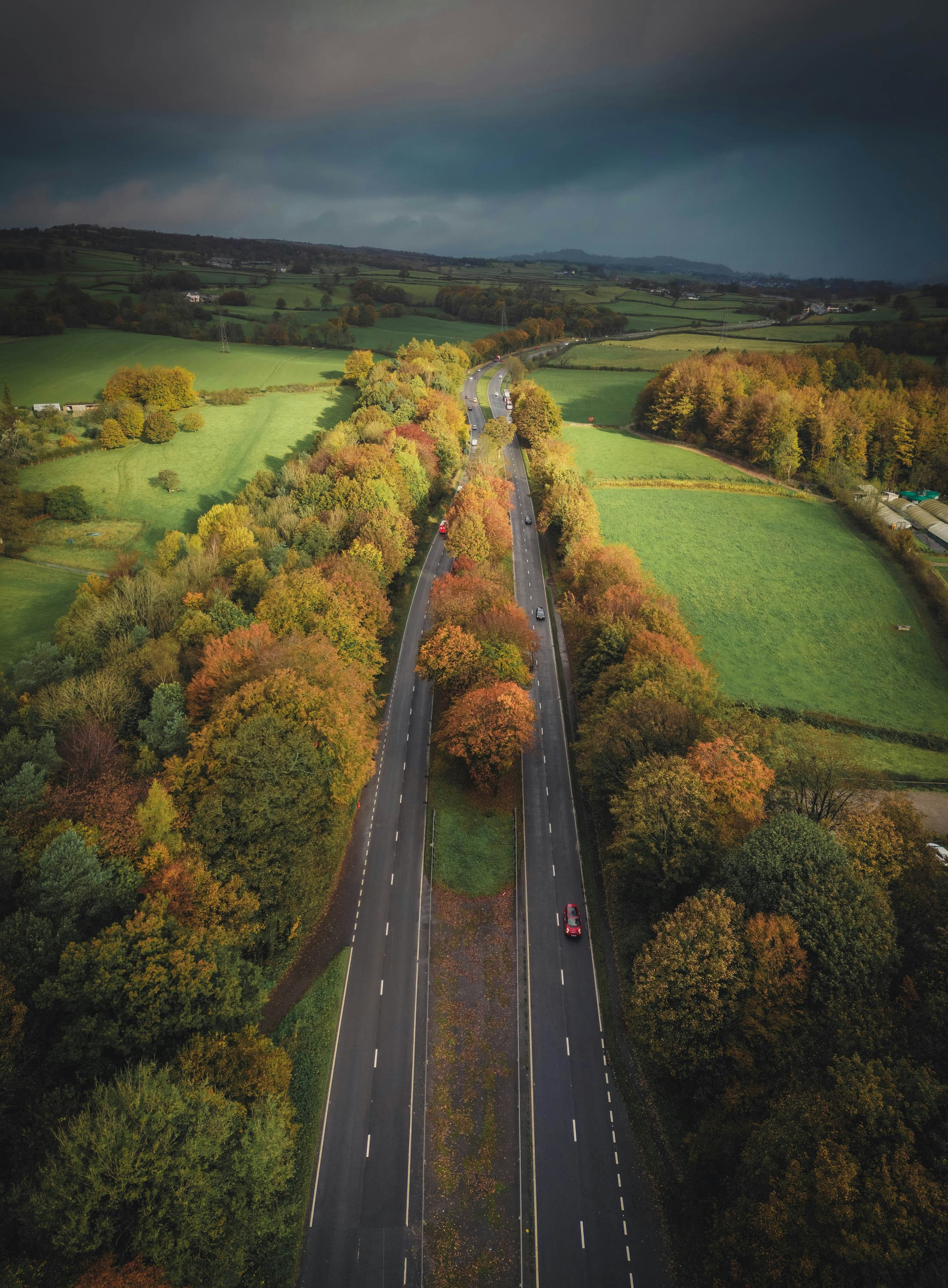 eine Straße mit Bäumen an der Seite