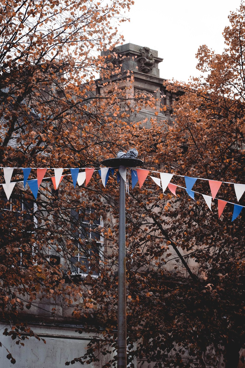 a flag pole with flags on it