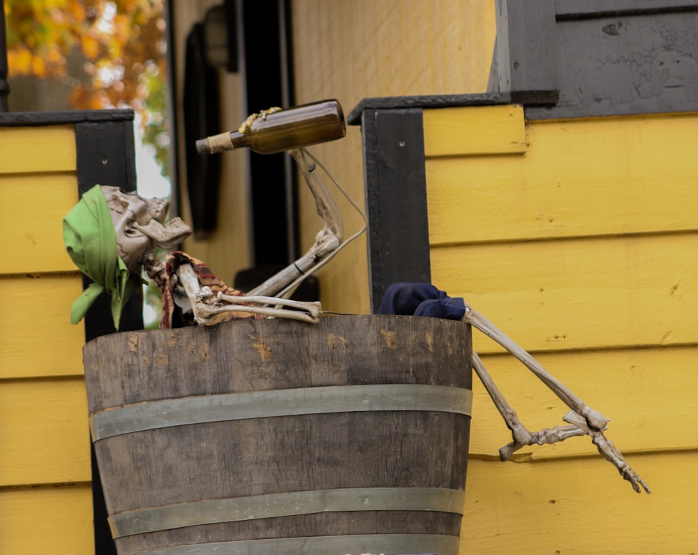 a dragonfly on a barrel