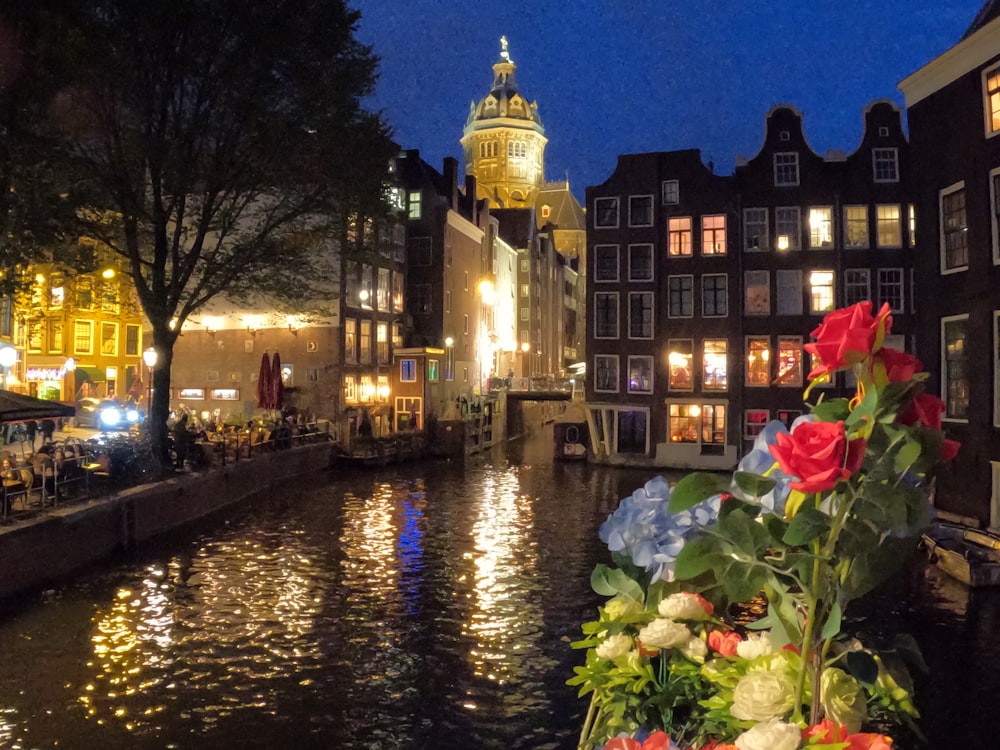 a river with flowers and buildings along it