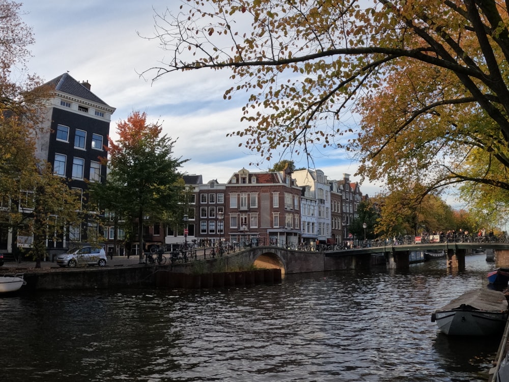 a river with a bridge and buildings