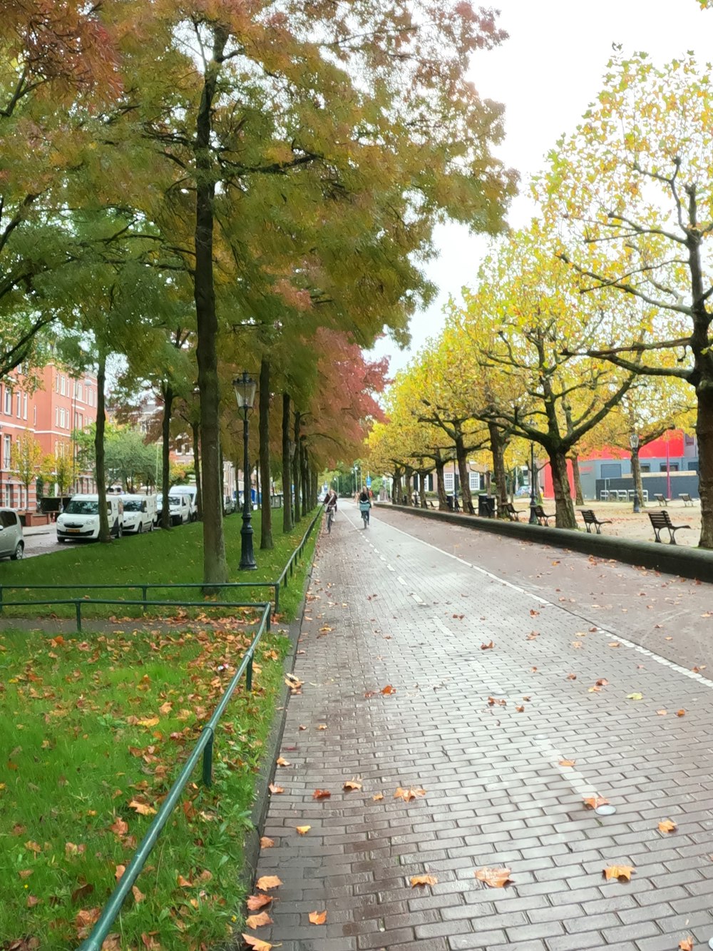 a sidewalk with trees and grass