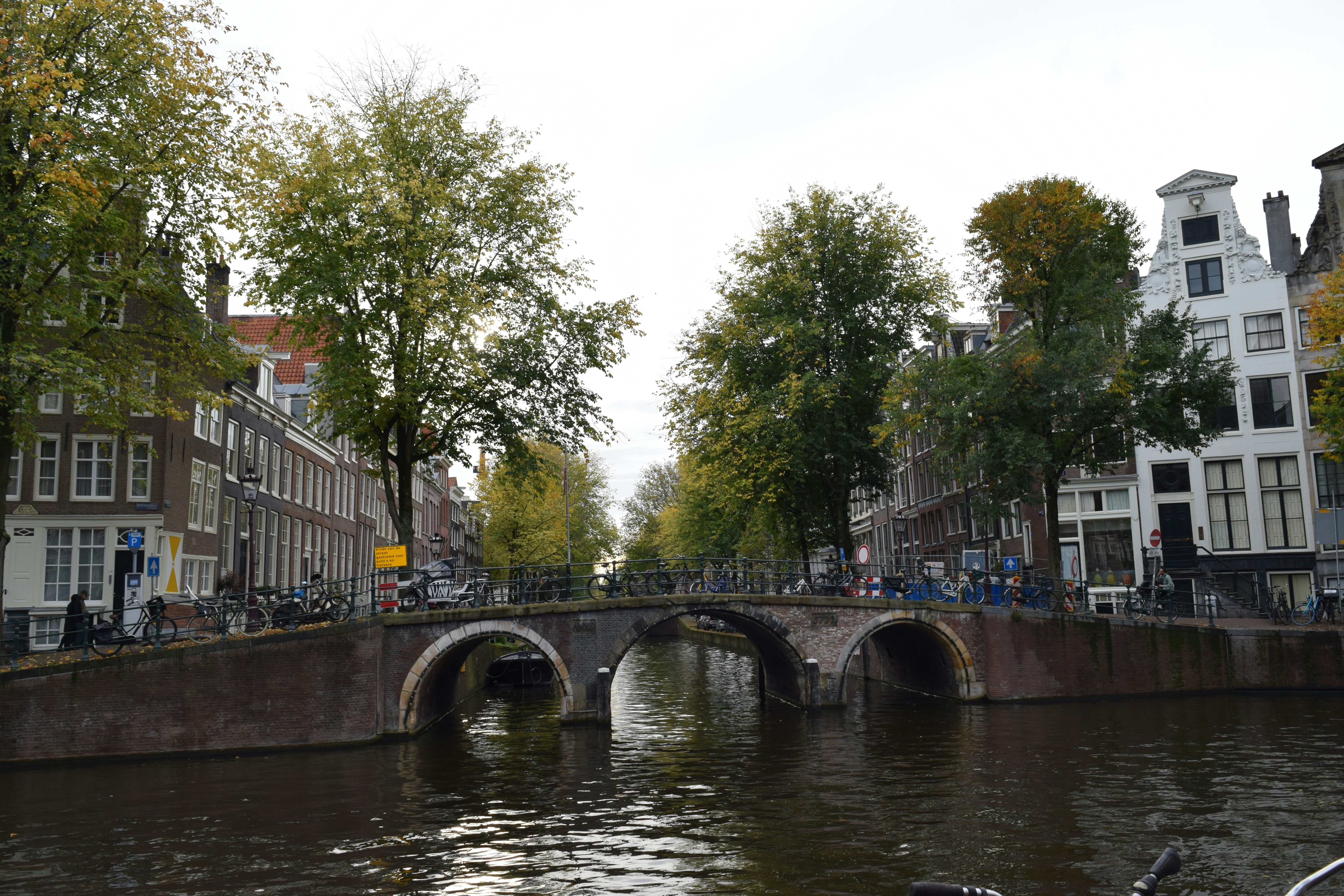 Photo by davidespinarincon