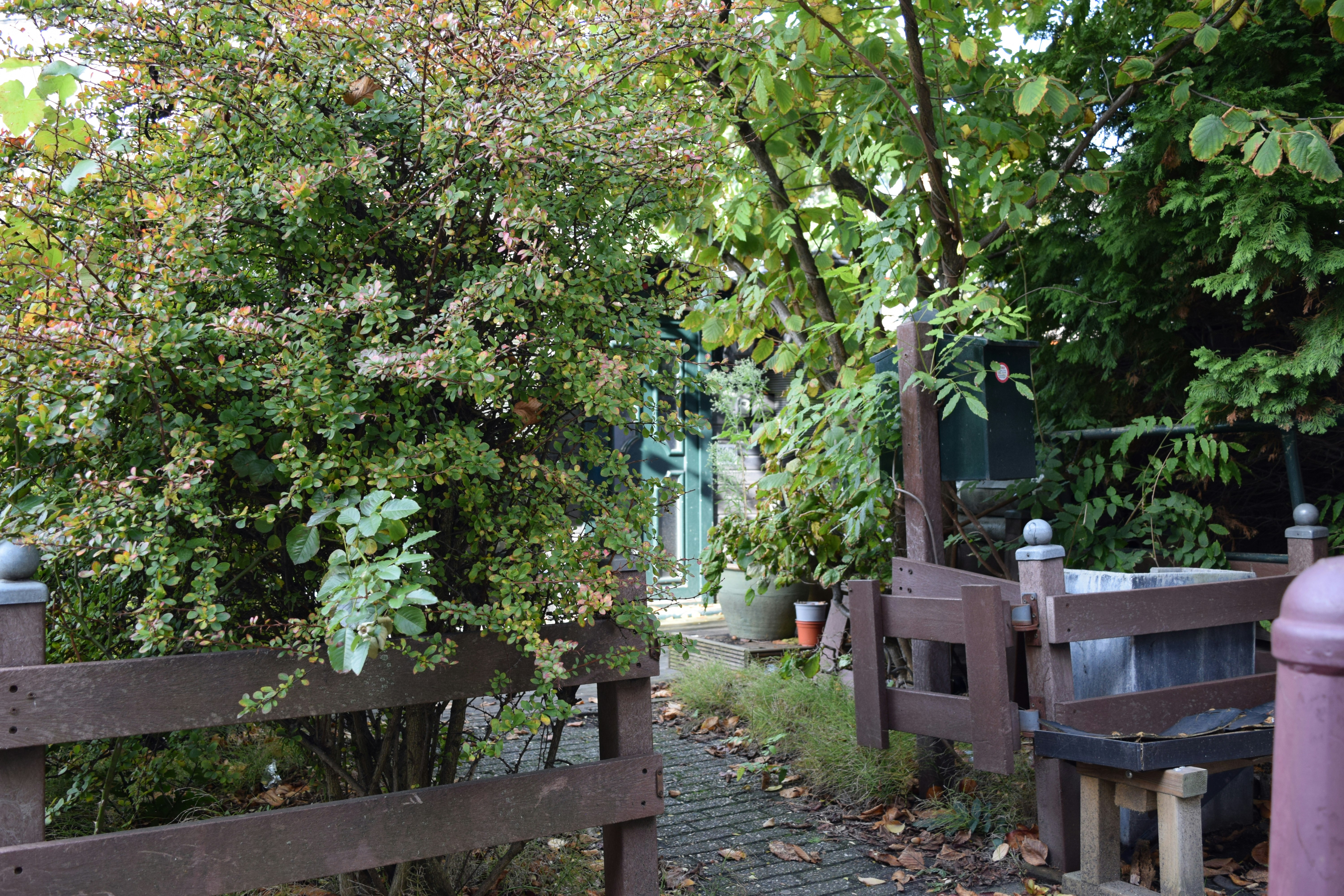 Photo by davidespinarincon